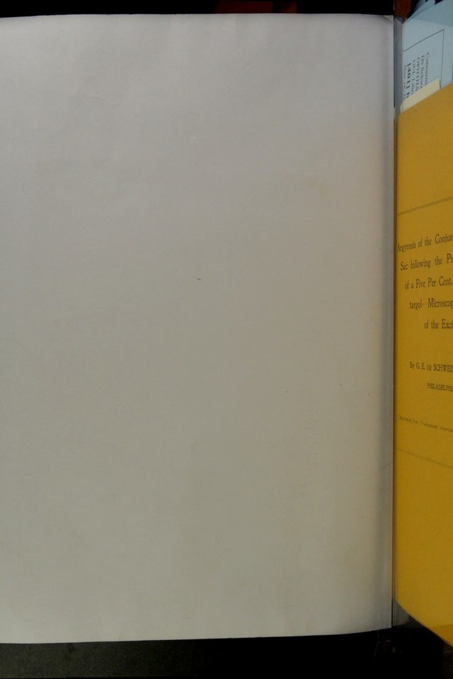 digitised image 2