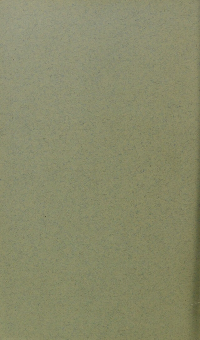 digitised image 2