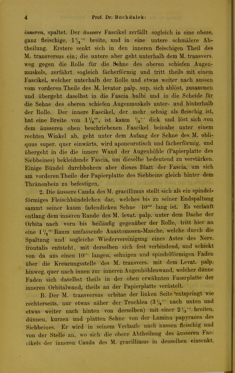 inneren, spaltet. Der äussere Fascikel zerfällt sogleich in eine obere, ganz fleischige, l'/a' breite, und in eine untere schmälere Ab- theilung. Erstere senkt sich in den inneren fleischigen Theil des M. transversus ein; die untere aber geht unterhalb dem M. transvers. weg gegen die Rolle für die Sehne des oberen schiefen Augen- muskels, zerfährt sogleich fächerförmig und tritt theils mit einem Fascikel, welcher unterhalb der Rolle und etwas weiter nach aussen vom vorderen Theile des M. levator palp. sup. sich ablöst, zusammen und übergeht daselbst in die Fascia bulbi und in die Scheide für die Sehne des oberen schiefen Augenmuskels unter- und hinterhalb der Rolle. Der innere Fascikel, der mehr sehnig als fleischig ist, hat eine Breite von 174', ist kaum Vi' dick und löst sich .von dem äusseren oben beschriebenen Fascikel beinahe unter einem rechten Winkel ab, geht unter dem Anfang der Sehne des M. obli- quus super, quer einwärts, wird aponeurotisch und fächerförmig, und übergeht in die die innere Wand der Augenhöhle (Papierplatte des Siebbeines) bekleidende Fascia, um dieselbe bedeutend zu verstärken. Einige Bündel durchbohren aber dieses Blatt der Fascia, um sich am vorderen Theile der Papierplatte des Siebbeins gleich hinter dem Thränenbein zu befestigen. 2. Die äussere Cauda des M. gracillimus stellt sich als ein spindel- förmiges Fleischbündelchen dar, welches bis zu seiner Endspaltung sammt seiner kaum fadendicken Sehne 10' lang ist. Es verlauft entlang dem inneren Rande des M. levat. palp. unter dem Dache der Orbita nach vorn bis beiläufig gegenüber der Rolle, tritt hier an eine l72'Raum umfassende Anastomosen-Masche, welche durch die Spaltung und sogleiche Wiedervereinigung eines Astes des Nerv, frontalis entsteht, mit derselben sich fest verbindend, und schickt von da aus einen 10' langen, sehnigen und spindelförmigen Faden über die Kreuzungsstelle des M. transvers. mit dem Levat. palp. hinweg, quer nach innen zur inneren Augenhöhlenwand, welcher dünne Faden sich daselbst theils in der oben erwähnten Faserplatte der inneren Orbitalwand, theils an der Papierplatte verästelt. B. Der M. transversus orbitae der linken Seite 'entspringt wie rechterseits, nur etwas näher der Trochlea (3'/,' nach unten und etwas weiter nach hinten von derselben) mit einer 2 V,'1' breiten, dünnen, kurzen und platten Sehne von der Lamina papyracea des Siebbeines. Er wird in seinem Verlaufe nach aussen fleischig und von der Stelle an, wo sich die obere Abtheilung des äusseren Fas- cikels der inneren Cauda des M. gracillimus in denselben einsenkt.