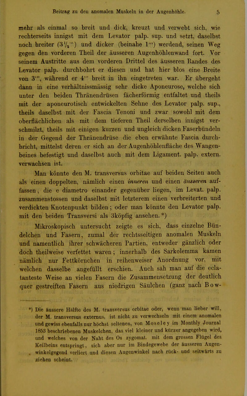 mehr als einmal so breit und dick, kreuzt und verwebt sich, wie rechterseits innigst mit dem Levator palp. sup. und setzt, daselbst noch breiter (3'/, ) und dicker (beinahe 1') werdend, seinen Weg gegen den vorderen Theil der äusseren Augenhöhlenwand fort. Vor seinem Austritte aus dem vorderen Drittel des äusseren Randes des Levator palp. durchbohrt er diesen und hat hier blos eine Breite von 3', während er 4' breit in ihn eingetreten war. Er übergeht dann in eine verhältnissmässig sehr dicke Aponeurose, welche sich unter den beiden Thränendrüsen fächerförmig entfaltet und theils mit der aponeurotisch entwickelten Sehne des Levator palp. sup., theils daselbst mit der Fascia Tenoni und zwar sowohl mit dem oberflächlichen als mit dem tieferen Theil derselben innigst ver- schmilzt, theils mit einigen kurzen und ungleich dicken Faserbündeln in der Gegend der Thränendrüse die eben erwähnte Fascia durch- bricht, mittelst deren er sich an der Augenhöhlenfläche des Wangen- beines befestigt und daselbst auch mit dem Ligament, palp. extern, verwachsen ist. Man könnte den M. transversus orbitae auf beiden Seiten auch als einen doppelten, nämlich einen inneren und einen äusseren auf- fassen , die e diametro einander gegenüber liegen, im Levat. palp. zusammenstossen und daselbst mit letzterem einen verbreiterten und verdickten Knotenpunkt bilden; oder man könnte den Levator palp. mit den beiden Transversi als 3köpfig ansehen. *) Mikroskopisch untersucht zeigte es sich, dass einzelne Bün- delchen und Fasern, zumal der rechtsseitigen anomalen Muskeln und namentlich ihrer schwächeren Partien, entweder gänzlich oder doch theilweise verfettet waren; innerhalb des Sarkolemma kamen nämlich nur Fettkörnchen in reihenweiser Anordnung vor, mit welchen dasselbe angefüllt erschien. Auch sah man auf die ecla- tanteste Weise an vielen Fasern die Zusammensetzung der deutlich quer gestreiften Fasern aus niedrigen Säulchen (ganz nach Bow- *) Die äussere Hälfte des M. transversus orbitae oder, wenn mau lieber will, der M. transversus externus, ist nicht zu verwechseln mit einem anomalen und gewiss ebenfalls nur höchst seltenen, von Mosel ey im Monthly Journal 1853 beschriebenen Muskelchen, das viel kleiner und kürzer angegeben wird, und welches von der Naht des Os zygomat. mit dem grossen Flügel des Keilbeins entspringt, sich aber nur im Bindegewebe der äusseren Augen- winkelgegend verliert und diesen Augenwinkel nach rück- und seitwärts zu ziehen scheint.