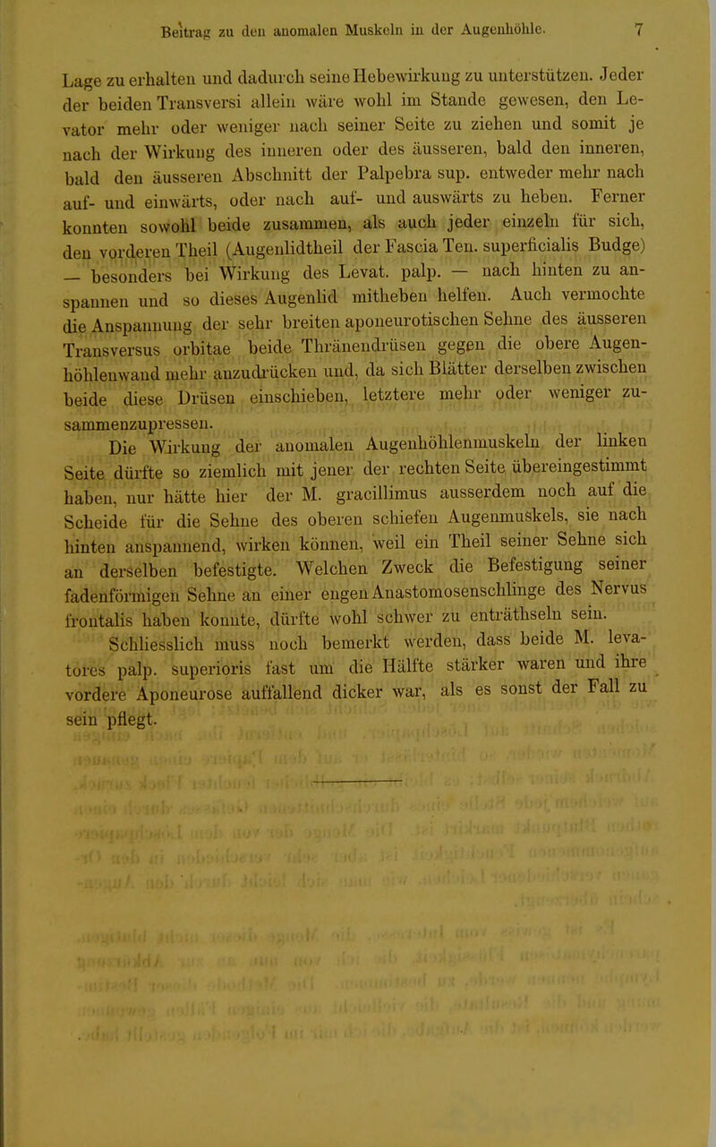 Lage zu erhalten und dadurch seine Hebewirkung zu unterstützen. Jeder der beiden Transversi allein wäre wohl im Stande gewesen, den Le- vator mehr oder weniger nach seiner Seite zu ziehen und somit je nach der Wirkung des inneren oder des äusseren, bald den inneren, bald den äusseren Abschnitt der Palpebra sup. entweder mehr nach auf- und einwärts, oder nach auf- und auswärts zu heben. Ferner konnten sowohl beide zusammen, als auch jeder einzeln für sich, den vorderen Theil (Augenlidtheil der Fascia Ten. superficialis Budge) — besonders bei Wirkung des Levat. palp. — nach hinten zu an- spannen und so dieses Augenlid mitlieben helfen. Auch vermochte die Anspannung der sehr breiten aponeurotischen Sehne des äusseren Transversus orbitae beide Thränendrüsen gegen die obere Augen- höhlenwand mehr anzudrücken und, da sich Blätter derselben zwischen beide diese Drüsen einschieben, letztere mehr oder weniger zu- sammenzupressen. Die Wirkung der anomalen Augenhöhleninuskeln der linken Seite dürfte so ziemlich mit jener der rechten Seite übereingestimmt haben, nur hätte hier der M. gracillimus ausserdem noch auf die Scheide für die Sehne des oberen schiefen Augenmuskels, sie nach hinten anspannend, wirken können, weil ein Theil seiner Sehne sich an derselben befestigte. Welchen Zweck die Befestigung seiner fadenförmigen Sehne an einer engen Anastomosenschlinge des Nervus frontalis haben konnte, dürfte wohl schwer zu enträthseln sein. Schliesslich muss noch bemerkt werden, dass beide M. leva- tores palp. superioris fast um die Hälfte stärker waren und ihre vordere Aponeurose auffallend dicker war, als es sonst der Fall zu sein pflegt.