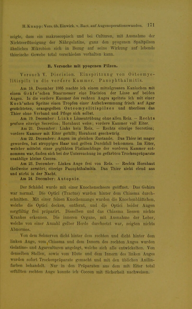 zeigte, dass ein makroscopisch und bei Culturen, mit Ausnahme der NichtVerflüssigung der Nährgelatine, ganz den pyogenen Spaltpilzen ähnliches Mikrobion sich in Bezug auf seine Wirkung auf lebende thierische Gewebe total verschieden vorhalten kann. B. Versuche mit pyogenen Pilzen. Versuch V. Discision. Einspritzung von Ostoomye- litispilz in die vordere Kammer. Panophthalmitis. Am 18. December 1885 machte ich einem mittelgrossen Kaninchen mit einem Gräfe'sehen Staarmesser eine Discision der Linse auf beiden Augen. In die vordere Kammer des rechten Auges spritzte ich mit einer Koch'sehen Spritze einen Tropfen einer Aufschwemmung frisch auf Agar gezüchteten, orangegelben Osteomyelitispilzes und überliess das Thier ohne Verband und Pflege sich selbst. Am 19. December: Links Linsentrübung ohne allen Reiz. — Rechts profuse eiterige Secretiou; Hornhaut weiss; vordere Kammer voll Eiter. Am 21. December: Links kein Reiz, — Rechts eiterige Secretion; vordere Kammer mit Eiter gefüllt; Hornbaut geschwürig. Am 22. December: Augen im gleichen Zustande. Das Thier ist mager geworden, hat struppiges Haar und gelben Durchfall bekommen. Im Eiter, welcher mittelst einer geglühten Platinschlinge der vorderen Kammer ent- nommen war, finden sich bei der Untersuchung im gefärbten Trockenpräparate unzählige kleine Coccen. Am 23. December: Linkes Auge frei von Reiz. — Rechts Hornhaut theilweise zerstört; eiterige Pauophthalmitis. Das Thier sieht elend aus und stirbt in der Nacht. Am 24. December: Autopsie. Der Schädel wurde mit einer Knochenscheere geöffnet. Das Gehirn war normal. Die Optici (Tractus) wurden hinter dem Ghiasma durch- schnitten. Mit einer feinen Knochenzange wurden die Knochonblättchen, welche die Optici decken, entfernt, und die Optici beider Augen sorgfältig frei präparirt. Dieselben und das Chiasma Hessen nichts Krankes erkennen. Die inneren Organe, mit Ausnahme der Leber, welche von einer Anzahl gelber Herde durchsetzt war, zeigten nichts Abnormes. Von dem Sehnerven dicht hinter dem rechten und dicht hinter dem linken Auge, vom.Chiasma und dem Innern des rechten Auges wurden Gelatine- und Agarculturen angelegt, welche sich alle entwickelten. Von denselben Stelion, sowie vom Blute und dem Innern des linken Auges wurden sofort Trockenpräparate gemacht und mit den üblichen Anilin- farben behandelt. Nor in den Präparaten aus dem mit Eiter total erfüllten rochton Auge konnte ich Coccen mit Sicherheit nachweisen.