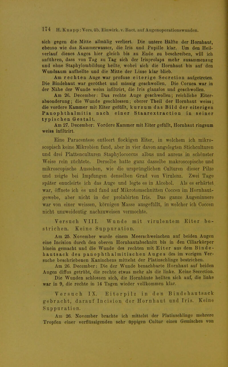 sich gegen die Mitte allmälig verliert. Die untere Hälfte der Hornhaut, ebenso wie das Kammerwasser, die Iris und Pupille klar. Um den Heil- verlauf dieses Auges hier gleich bis zu Ende zu beschreiben, will ich anführen, dass von Tag zu Tag sich der Irisprolaps mehr zusammenzog und ohne Staphylombildung heilte, wobei sich die Hornhaut bis auf den Wundsaum aufhellte und die Mitte der Linse klar blieb. Am rechten Auge war profuse eiterige Secretion aufgetreten. Die Bindehaut war geröthet und massig geschwollen. Die Cornea war in der Nähe der Wunde weiss infiltrirt, die Iris glanzlos und geschwollen. Am 26. December: Das rechte Auge geschwollen; reichliche Eiter- absonderung; die Wunde geschlossen; oberer Theil der Hornhaut weiss; die vordere Kammer mit Eiter gefüllt, kurzum das Bild der eiterigen PanOphthalmitis nach einer Staarextraction in seiner typischen Gestalt. Am 27. December: Vordere Kammer mit Eiter gefüllt, Hornhaut ringsum weiss infiltrirt. Eine Paracentese entleert flockigen Eiter, in wolcliem ich mikro- scopiscli keine Mikrobien fand, aber in vier davon angelegten Stichculturen und drei Plattencultureji Stapbylococcus albus und aureus in schönster Weise rein züchtete. Derselbe hatte ganz dasselbe makroscopische und mikroscopische Aussehen, wie die ursprünglichen Culturen dieser Pilze und zeigte bei Impfungen denselben Grad von Virulenz. Zwei Tage später enucleirte ich das Auge und legte es in Alcohol. Als es erhärtet war, öffnete ich es und fand auf Mikrotomschnitten Coccen im Hornhaut- gewebe, aber nicht in der prolabirten Iris. Das ganze Augeninnero war von einer weissen, körnigen Masse ausgefüllt, in welcher ich Coccen nicht unzweideutig nachzuweisen vermochte. Versuch VIII. Wunde mit virulentem Eiter be- strichen. Keine Suppuration. Am 26. November wurde einem Meerschweinchen auf beiden Augen eine Incision durch den oberen Hornhautabschnitt bis in den Ciliarkörper hinein gemacht und die Wunde des rechten mit Eiter aus dem Binde- hautsack des pano p h th al mitisc hen Auges des im vorigen Ver- suche beschriebenen Kaninchens mittelst der Platinschlinge bestrichen. Am 26. December: Die der Wunde benachbarte Hornhaut auf beiden Augen diffus getrübt, die rechte etwas mehr als die linke. Keine Secretion. Die Wunden schlössen sich, die Hornhäute hellten sich auf, die linke war in 9, die rechte in 14 Tagen wieder vollkommen klar. Versuch IX. Eiterpilz in den B i ndo hau tsack gebracht, darauf Incision der Hornhaut und Iris. Keine Suppuration. Am 26. November brachte ich mittelst der Platinschlinge mehrere Tropfen einer verflüssigenden sehr üppigen Cultur eines Gemisches von