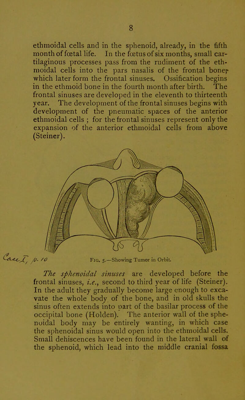 ethmoidal cells and in the sphenoid, already, in the fifth month of foetal life. In the foetus of six months, small car- tilaginous processes pass from the rudiment of the eth- moidal cells into the pars nasalis of the frontal bone^ which later form the frontal sinuses. Ossification begins in the ethmoid bone in the fourth month after birth. The frontal sinuses are developed in the eleventh to thirteenth year. The development of the frontal sinuses begins with development of the pneumatic spaces of the anterior ethmoidal cells ; for the frontal sinuses represent only the expansion of the anterior ethmoidal cells from above (Steiner). /0- /O Fig. s.—Showing Tumor in Orbit. The sphefioidal sinuses are developed before the frontal sinuses, i.e., second to third year of life (Steiner). In the adult they gradually become large enough to exca- vate the whole body of the bone, and in old skulls the sinus often extends into part of the basilar process of the occipital bone (Holden), The anterior wall of the sphe- noidal body may be entirely wanting, in which case the sphenoidal sinus would open into the ethmoidal cells. Small dehiscences have been found in the lateral wall of the sphenoid, which lead into the middle cranial fossa