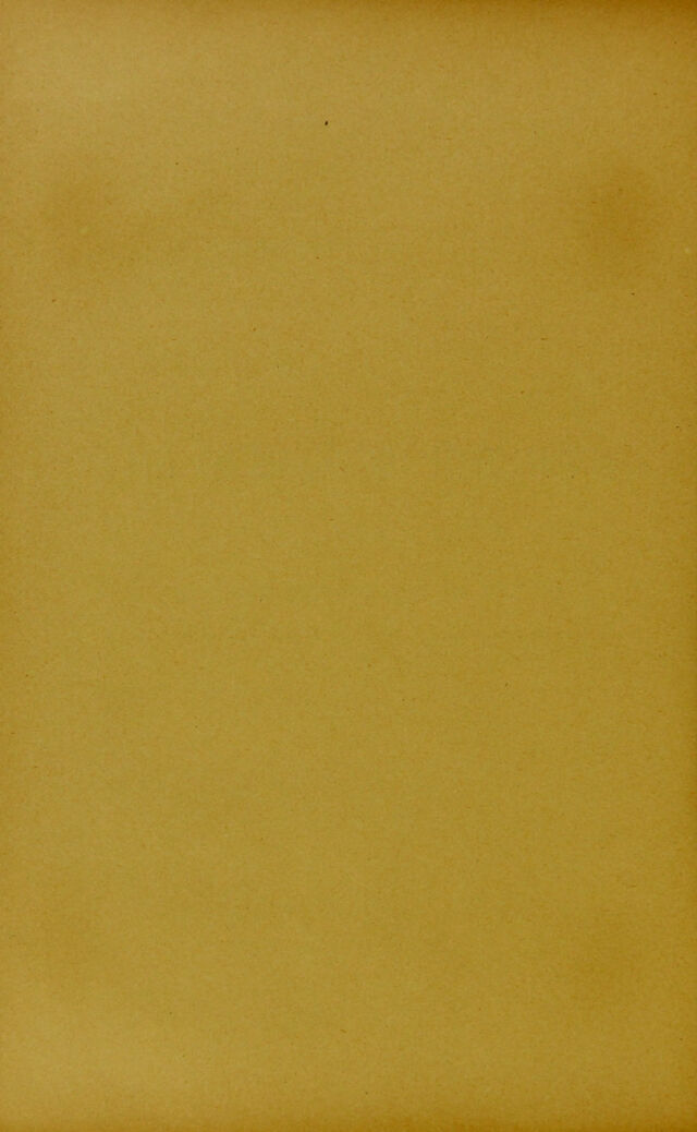 digitised image 2