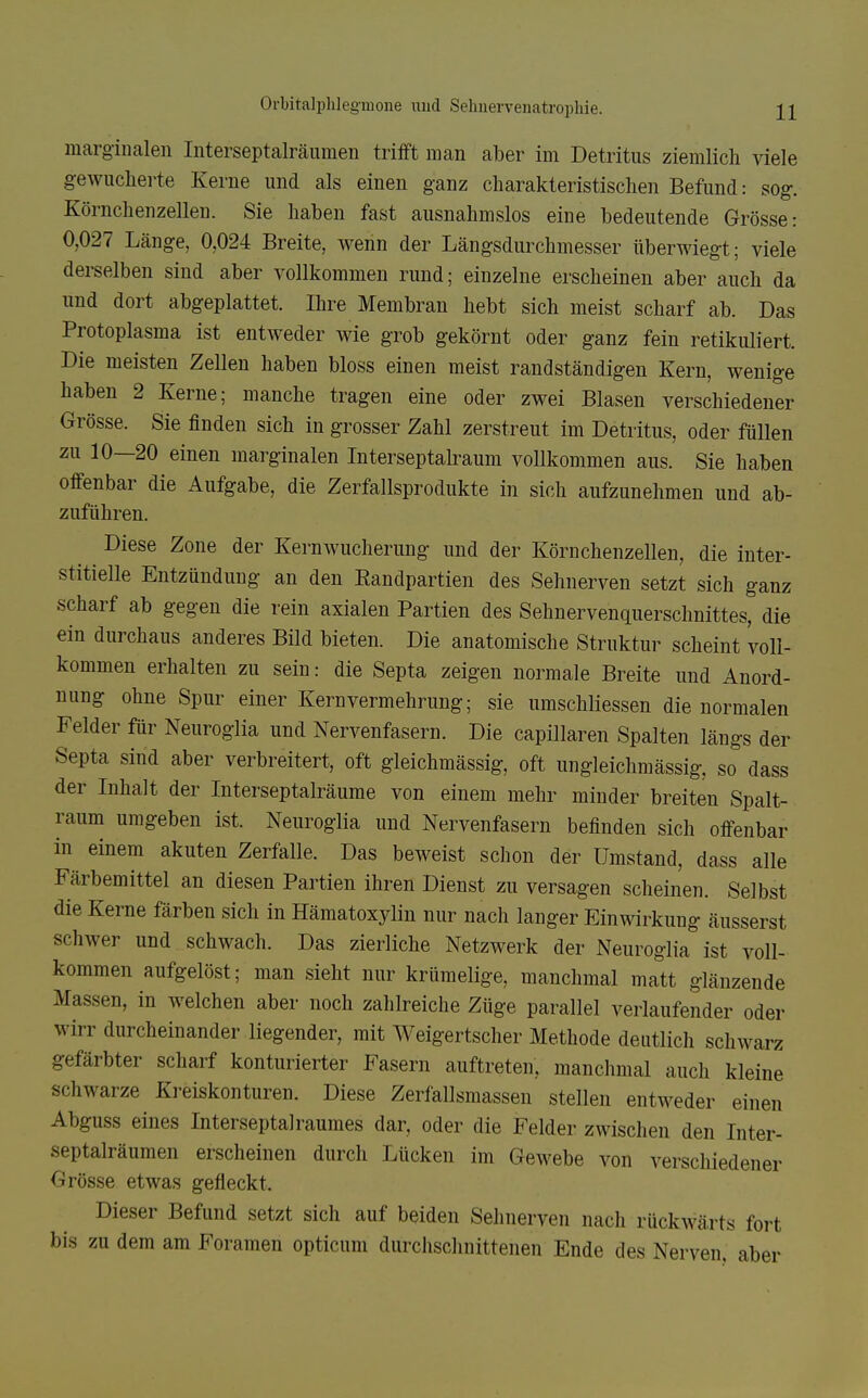 marginalen InterseptaMumen trifft man aber im Detritus ziemlich viele gewuclierte Kerne und als einen ganz charakteristischen Befund: sog. Körnchenzellen. Sie haben fast ausnahmslos eine bedeutende Grösse: 0,027 Länge, 0,024 Breite, wenn der Längsdurchmesser überwiegt; viele derselben sind aber vollkommen rund; einzelne erscheinen aber auch da und dort abgeplattet. Ihre Membran hebt sich meist scharf ab. Das Protoplasma ist entweder wie grob gekörnt oder ganz fein retikuliert. Die meisten Zellen haben bloss einen meist randständigen Kern, wenige haben 2 Kerne; manche tragen eine oder zwei Blasen verschiedener Grösse. Sie finden sich in grosser Zahl zerstreut im Detritus, oder füllen zu 10—20 einen marginalen Interseptalraum vollkommen aus. Sie haben offenbar die Aufgabe, die Zerfallsprodukte in sich aufzunehmen und ab- zuführen. Diese Zone der Kernwucherung und der Körnchenzellen, die inter- stitielle Entzündung an den Eandpartien des Sehnerven setzt sich ganz scharf ab gegen die rein axialen Partien des Sehnervenquerschnittes, die ein durchaus anderes Bild bieten. Die anatomische Struktur scheint voll- kommen erhalten zu sein: die Septa zeigen normale Breite und Anord- nung ohne Spur einer Kernvermehrung; sie umschliessen die normalen Felder für Neuroglia und Nervenfasern. Die capillaren Spalten längs der Septa sind aber verbreitert, oft gleichmässig, oft ungleichraässig, so dass der Inhalt der Interseptalräume von einem mehr minder breiten Spalt- raum umgeben ist. Neuroglia und Nervenfasern befinden sich offenbar in einem akuten Zerfalle. Das beweist schon der Umstand, dass alle Färbemittel an diesen Partien ihren Dienst zu versagen scheinen. Selbst die Kerne färben sich in Hämatoxylin nur nach langer Einwirkung äusserst schwer und schwach. Das zierliche Netzwerk der Neuroglia ist voll- kommen aufgelöst; man sieht nur krümelige, manchmal matt glänzende Massen, in welchen aber noch zahlreiche Züge parallel verlaufender oder wirr durcheinander liegender, mit Weigertscher Methode deutlich schwarz gefärbter scharf konturierter Fasern auftreten, manclmial auch kleine schwarze Ki-eiskonturen. Diese Zerfallsmassen stellen entweder einen Abguss eines Interseptalraumes dar, oder die Felder zwischen den Inter- septalräumen erscheinen durch Lücken im Gewebe von verschiedener Grösse etwas gefleckt. Dieser Befund setzt sich auf beiden Sehnerven nach rückwärts fort bis zu dem am Foramen opticum durchschnittenen Ende des Nerven, aber