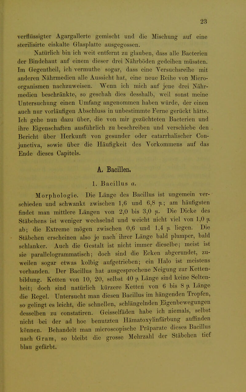 verflüssigter Agargallerte gemischt und die Mischung auf eine sterilisirte eiskalte Glasplatte ausgegossen. Natürlich bin ich weit entfernt zu glauben, dass alle Bacterien der Bindehaut auf einem dieser drei Nährböden gedeihen müssten. Im Gegentheil, ich vermuthe sogar, dass eine Versuchsreihe mit anderen Nährmedien alle Aussicht hat, eine neue Reihe von Micro- organismen nachzuweisen. Wenn ich mich auf jene drei Nähr- medien beschränkte, so geschah dies desshalb, weil sonst meine Untersuchung einen Umfang angenommen haben würde, der einen auch nur vorläufigen Abschluss in unbestimmte Ferne gerückt hätte. Ich gehe nun dazu über, die von mir gezüchteten Bacterien und ihre Eigenschaften ausführlich zu beschreiben und verschiebe den Bericht über Herkunft von gesunde]' oder catarrhalischcr Con- junetiva, sowie über die Häufigkeit des Yorkommens auf das Ende dieses Capitels. A, Bacillen, 1. Bacillus a. Morphologie. Die Länge des Bacillus ist ungemein ver- schieden und schwankt zwischen 1,6 und 6,8 (l; am häufigsten findet man mittlere Längen von 2,0 bis 3,0 \x. Die Dicke des Stäbchens ist weniger wechselnd und weicht nicht viel von 1,0 jt ab; die Extreme mögen zwischen 0,6 und 1,4 u. liegen. Die Stäbchen erscheinen also je nach' ihrer Länge bald plumper, bald schlanker. Auch die Gestalt ist nicht immer dieselbe; meist ist sie parallelogrammatisch; doch sind die Ecken abgerundet, zu- weilen sogar etwas kolbig aufgetrieben; ein Halo ist meistens vorhanden. Der Bacillus hat ausgesprochene Neigung zur Kctten- bildung. Ketten von 10, 20, selbst 40 u. Länge sind keine Selten- heit; doch sind natürlich kürzere Ketten von 6 bis 8 ^ Länge die Regel. Untersucht man diesen Bacillus im hängenden Tropfen, so gelingt es leicht, die schnellen, schlängelnden Eigenbewegungen desselben zu constatiren. Geisseifäden habe ich niemals, selbst nicht bei der ad hoc benutzten ilämatoxylinfärbung auffinden können. Behandelt man microscopischc Präparate dieses Bacillus nach Gram, so bleibt die grosse Mehrzahl der Stäbchen tief blau gefärbt.