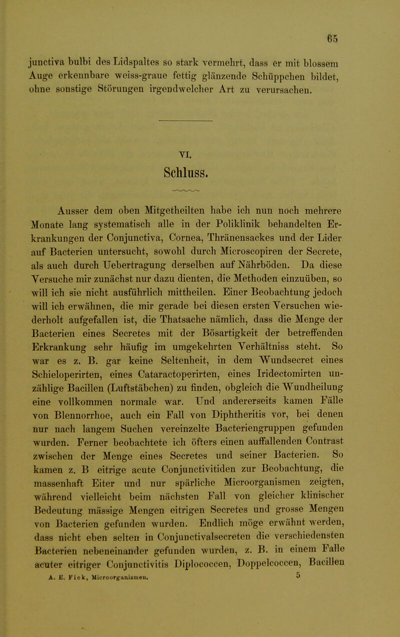 junctiva bulbi des Lidspaltes so stark vermehrt, dass er mit blossem Auge erkennbare weiss-graue fettig glänzende Schüppchen bildet, ohne sonstige Störungen irgendwelcher Art zu verursachen. VI. Schluss. Ausser dem oben Mitgetheilten habe ich nun noch mehrere Monate lang systematisch alle in der Poliklinik bebandelten Er- krankungen der Conjunctiva, Cornea, Thränensackes und der Lider auf Bacterien untersucht, sowohl durch Microscopiren der Secrete, als auch durch Uebertragung derselben auf Nährböden. Da diese Versuche mir zunächst nur dazu dienten, die Methoden einzuüben, so will ich sie nicht ausführlich mittheilen. Einer Beobachtung jedoch will ich erwähnen, die mir gerade bei diesen ersten Yersuchen wie- derholt aufgefallen ist, die Thatsache nämlich, dass die Menge der Bacterien eines Secretes mit der Bösartigkeit der betreffenden Erkrankung sehr häufig im umgekehrten Verhältniss steht. So war es z. B. gar keine Seltenheit, in dem Wundsecret eines Schieloperirten, eines Cataractoperirten, eines Iridectomirten un- zählige Bacillen (Luftstäbchen) zu finden, obgleich die Wundheilung eine vollkommen normale war. Und andererseits kamen Fälle von Blennorrhoe, auch ein Fall von Diphtheritis vor, bei denen nur nach langem Suchen vereinzelte Bacteriengruppen gefunden wurden. Ferner beobachtete ich öfters einen auffallenden Contrast zwischen der Menge eines Secretes und seiner Bacterien. So kamen z. B eitrige acute Conjunctivitiden zur Beobachtung, die massenhaft Eiter und nur spärliche Microorganismen zeigten, während vielleicht beim nächsten Fall von gleicher klinischer Bedeutung mässige Mengen eitrigen Secretes und grosse Mengen von Bacterien gefunden wurden. Endlich möge erwähnt werden, dass nicht eben selten in Conjunctivalsecreten die verschiedensten Bacterien nebeneinander gefunden wurden, z. B. in einem Falle acuter eitriger Conjunctivitis Diplococcen, Doppelcoccen, Bacillen A. E. Kick, MicroorganUnien. 5