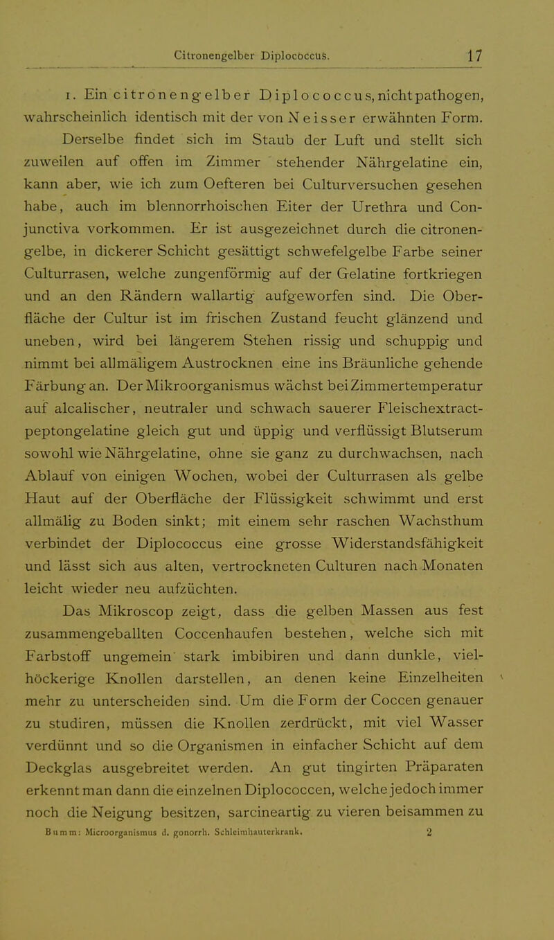 i. Ein citronengelber Diplococcus, nicht pathogen, wahrscheinlich identisch mit der von Neisser erwähnten Form. Derselbe findet sich im Staub der Luft und stellt sich zuweilen auf offen im Zimmer stehender Nährgelatine ein, kann aber, wie ich zum Oefteren bei Culturversuchen gesehen habe, auch im blennorrhoischen Eiter der Urethra und Con- junctiva vorkommen. Er ist ausgezeichnet durch die citronen- gelbe, in dickerer Schicht gesättigt schwefelgelbe Farbe seiner Culturrasen, welche zungenförmig auf der Gelatine fortkriegen und an den Rändern wallartig aufgeworfen sind. Die Ober- fläche der Cultur ist im frischen Zustand feucht glänzend und uneben, wird bei längerem Stehen rissig und schuppig und nimmt bei allmäligem Austrocknen eine ins Bräunliche gehende Färbung an. Der Mikroorganismus wächst bei Zimmertemperatur auf alcalischer, neutraler und schwach sauerer Fleischextract- peptongelatine gleich gut und üppig und verflüssigt Blutserum sowohl wie Nährgelatine, ohne sie ganz zu durchwachsen, nach Ablauf von einigen Wochen, wobei der Culturrasen als gelbe Haut auf der Oberfläche der Flüssigkeit schwimmt und erst allmälig zu Boden sinkt; mit einem sehr raschen Wachsthum verbindet der Diplococcus eine grosse Widerstandsfähigkeit und lässt sich aus alten, vertrockneten Culturen nach Monaten leicht wieder neu aufzüchten. Das Mikroscop zeigt, dass die gelben Massen aus fest zusammengeballten Coccenhaufen bestehen, welche sich mit Farbstoff ungemein stark imbibiren und dann dunkle, viel- höckerige Knollen darstellen, an denen keine Einzelheiten mehr zu unterscheiden sind. Um die Form der Coccen genauer zu studiren, müssen die Knollen zerdrückt, mit viel Wasser verdünnt und so die Organismen in einfacher Schicht auf dem Deckglas ausgebreitet werden. An gut tingirten Präparaten erkennt man dann die einzelnen Diplococcen, welche jedoch immer noch die Neigung besitzen, sarcineartig zu vieren beisammen zu Bumm: Microorganismus d. gonorrh. Schlcimhauterkrank. 2