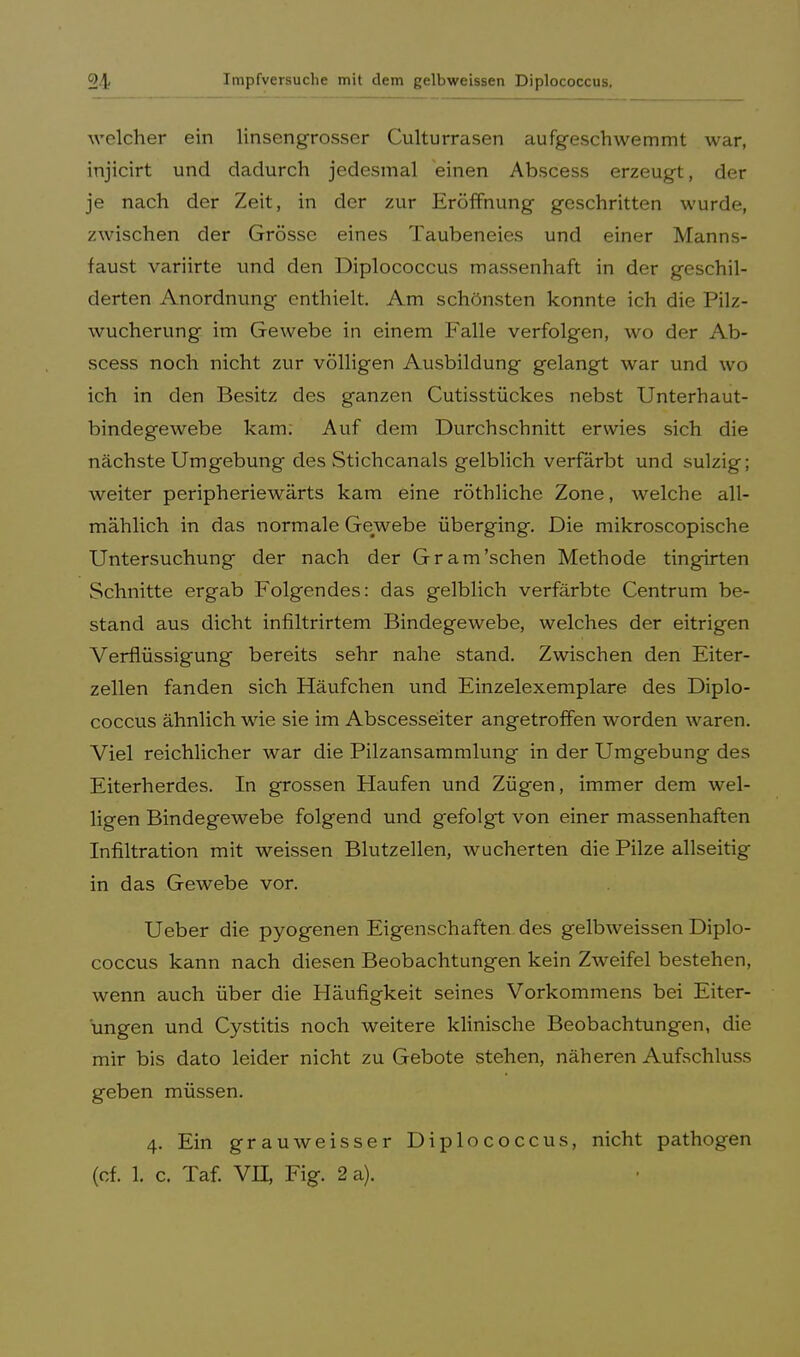 welcher ein linsengrosser Culturrasen aufgeschwemmt war, injicirt und dadurch jedesmal einen Abscess erzeugt, der je nach der Zeit, in der zur Eröffnung geschritten wurde, zwischen der Grösse eines Taubeneies und einer Manns- faust variirte und den Diplococcus massenhaft in der geschil- derten Anordnung enthielt. Am schönsten konnte ich die Pilz- wucherung im Gewebe in einem Falle verfolgen, wo der Ab- scess noch nicht zur völligen Ausbildung gelangt war und wo ich in den Besitz des ganzen Cutisstückes nebst Unterhaut- bindegewebe kam: Auf dem Durchschnitt erwies sich die nächste Umgebung des Stichcanals gelblich verfärbt und sulzig; weiter peripheriewärts kam eine röthliche Zone, welche all- mählich in das normale Gewebe überging. Die mikroscopische Untersuchung der nach der Gr am'sehen Methode tingirten Schnitte ergab Folgendes: das gelblich verfärbte Centrum be- stand aus dicht infiltrirtem Bindegewebe, welches der eitrigen Verflüssigung bereits sehr nahe stand. Zwischen den Eiter- zellen fanden sich Häufchen und Einzelexemplare des Diplo- coccus ähnlich wie sie im Abscesseiter angetroffen worden waren. Viel reichlicher war die Pilzansammlung in der Umgebung des Eiterherdes. In grossen Haufen und Zügen, immer dem wel- ligen Bindegewebe folgend und gefolgt von einer massenhaften Infiltration mit weissen Blutzellen, wucherten die Pilze allseitig in das Gewebe vor. Ueber die pyogenen Eigenschaften des gelbweissen Diplo- coccus kann nach diesen Beobachtungen kein Zweifel bestehen, wenn auch über die Häufigkeit seines Vorkommens bei Eiter- ungen und Cystitis noch weitere klinische Beobachtungen, die mir bis dato leider nicht zu Gebote stehen, näheren Aufschluss geben müssen. 4. Ein grauweisser Diplococcus, nicht pathogen (cf. 1. c. Taf. VH, Fig. 2 a).