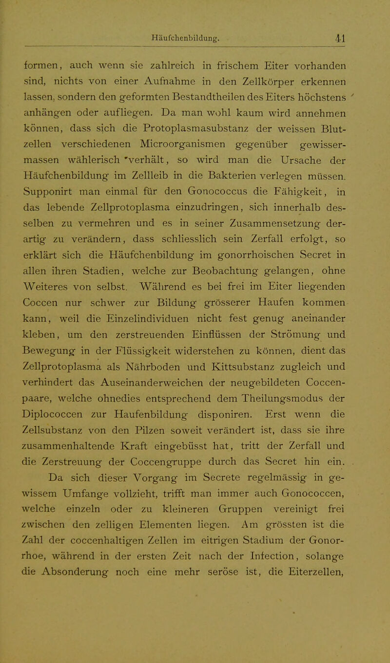 formen, auch wenn sie zahlreich in frischem Eiter vorhanden sind, nichts von einer Aufnahme in den Zellkörper erkennen lassen, sondern den geformten Bestandtheilen des Eiters höchstens ' anhängen oder aufliegen. Da man wohl kaum wird annehmen können, dass sich die Protoplasmasubstanz der weissen Blut- zellen verschiedenen Microorganismen gegenüber gewisser- massen wählerisch 'verhält, so wird man die Ursache der Häufchenbildung im Zellleib in die Bakterien verlegen müssen. Supponirt man einmal für den Gonococcus die Fähigkeit, in das lebende Zellprotoplasma einzudringen, sich innerhalb des- selben zu vermehren und es in seiner Zusammensetzung der- artig zu verändern, dass schliesslich sein Zerfall erfolgt, so erklärt sich die Häufchenbildung im gonorrhoischen Secret in allen ihren Stadien, welche zur Beobachtung gelangen, ohne Weiteres von selbst. Während es bei frei im Eiter liegenden Coccen nur schwer zur Bildung grösserer Haufen kommen kann, weil die Einzelindividuen nicht fest genug aneinander kleben, um den zerstreuenden Einflüssen der Strömung und Bewegung in der Flüssigkeit widerstehen zu können, dient das Zellprotoplasma als Nährboden und Kittsubstanz zugleich und verhindert das Auseinanderweichen der neugebildeten Coccen- paare, welche ohnedies entsprechend dem Theilungsmodus der Diplococcen zur Haufenbildung disponiren. Erst wenn die Zellsubstanz von den Pilzen soweit verändert ist, dass sie ihre zusammenhaltende Kraft eingebüsst hat, tritt der Zerfall und die Zerstreuung der Coccengruppe durch das Secret hin ein. . Da sich dieser Vorgang im Secrete regelmässig in ge- wissem Umfange vollzieht, trifft man immer auch Gonococcen, welche einzeln oder zu kleineren Gruppen vereinigt frei zwischen den zelligen Elementen liegen. Am grössten ist die Zahl der coccenhaltigen Zellen im eitrigen Stadium der Gonor- rhoe, während in der ersten Zeit nach der Infection, solange die Absonderung noch eine mehr seröse ist, die Eiterzellen,