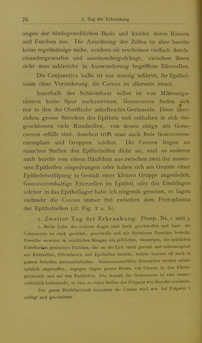 ungen der bindegewebigen Basis und kleidet deren Rinnen und Furchen aus. Die Anordnung der Zellen ist aber bereits keine regelmässige mehr, sondern sie erscheinen vielfach durch- einandergeworfen und auseinandergedrängt, zwischen ihnen sieht man zahlreiche in Auswanderung begriffene Eiterzellen. Die Conjunctiva bulbi ist nur mässig infiltrirt, ihr Epithel- saum ohne Veränderung, die Cornea ist allerseits intact. Innerhalb der Schleimhaut selbst ist von Mikroorga- nismen keine Spur nachzuweisen. Gonococcen finden ^ich nur in den der Oberfläche anhaftenden Gerinnseln. Diese über- ziehen grosse Strecken des Epithels und enthalten in sich ein- geschlossen viele Rundzellen, von denen einige mit Gono- coccen erfüllt sind, daneben trifft man auch freie Gonococcen- exemplare und Gruppen solcher. Die Coccen liegen an manchen Stellen den Epithelzellen dicht an, sind an anderen auch bereits von einem Häufchen aus zwischen zwei der äusser- sten Epithelien eingedrungen oder haben sich am Grunde einer Epitheleinstülpung in Gestalt einer kleinen Gruppe angesiedelt. Gonococcenhaltige Eiterzellen im Epithel oder das Eindringen solcher in das Epithellager habe ich nirgends gesehen, es lagen vielmehr die Coccen immer frei zwischen dem Protoplasma der Epithelzellen (cf. Fig. 2 a, b). 2. Zweiter Tag der Erkrankung. Praep. Nr. 2 und 3. 1. Beide Lider des rechten Auges sind hoch geschwollen und hart; die Conjunctiva ist stark geröthet, geschwellt und mit fibrinösem Exsudate bedeckt. Dieselbe secernirt in reichlichen Mengen ein gelbliches, wässeriges, mit spärlichen Eiterflocten gemischtes Fluidum, das an der Luft rasch gerinnt und mikroscopisch aus Eiterzellen, Fibrinfasern und Epithelien besteht, welche letztere oft noch in ganzen Schollen aneinanderheften. Gonococcenerfüllte Eiterzellen werden relativ spärlich angetroffen, dagegen liegen grosse Rasen von Coccen in den Fibrin- gerinnseln und auf den Epithelien. Die Anzahl der Gonococcen ist eine ausser- ordentlich bedeutende, so dass an vielen Stellen das Präparat wie übersäet erscheint. Der ganze Bindehautsack mitsammt der Cornea wird wie bei Präparat I zerlegt und geschnitten.