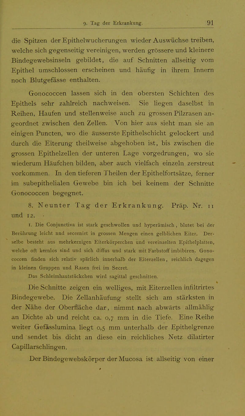 die Spitzen der Epithelwucherungen wieder Auswüchse treiben, welche sich gegenseitig vereinigen, werden grössere und kleinere Bindegewebsinseln gebildet, die auf Schnitten allseitig vom Epithel umschlossen erscheinen und häufig in ihrem Innern noch Blutgefässe enthalten. Gonococcen lassen sich in den obersten Schichten des Epithels sehr zahlreich nachweisen. Sie liegen daselbst in Reihen, Haufen und stellenweise auch zu grossen Pilzrasen an- geordnet zwischen den Zellen. Von hier aus sieht man sie an einigen Puncten, wo die äusserste Epithelschicht gelockert und durch die Eiterung theilweise abgehoben ist, bis zwischen die grossen Epithelzellen der unteren Lage vorgedrungen, wo sie wiederum Häufchen bilden, aber auch vielfach einzeln zerstreut vorkommen. In den tieferen Theilen der Epithelfortsätze, ferner im subepithelialen Gewebe bin ich bei keinem der Schnitte Gonococcen begegnet. 8. Neunter Tag der Erkrankung. Präp. Nr. ii und 12. i. Die Conjunctiva ist stark geschwollen und hyperämisch , blutet bei der Berührung leicht nnd seccrnirt in grossen Mengen einen gelblichen Eiter. Der- selbe besteht aus mehrkernigen Eiterkörperchen und vereinzelten Epilhelplatten, welche oft kernlos sind und sich diffus und stark mit Farbstoff imbibiren. Gono- coccen finden sich relativ spärlich innerhalb der Eiterzellen, reichlich dagegen in kleinen Gruppen und Rasen frei im Secret. Das Schleimhautstückchen wird sagittal geschnitten. Die Schnitte zeigen ein welliges, mit Eiterzellen infiltrirtes Bindegewebe. Die Zellanhäufung stellt sich am stärksten in der Nähe der Oberfläche dar, nimmt nach abwärts allmählig an Dichte ab und reicht ca. 0,7 mm in die Tiefe. Eine Reihe weiter Gefässlumina liegt 0,5 mm unterhalb der Epithelgrenze und sendet bis dicht an diese ein reichliches Netz dilatirter Capillarschlingen. Der Bindegewebskörper der Mucosa ist allseitig von einer