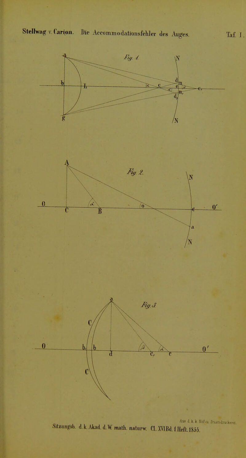 Taf. J . Ali» i iL k Hof-u Stutsdruckerei.