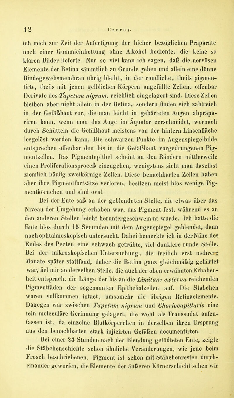 icli mich zur Zeit der Anfertigung der hieher bezüglichen Präparate noch einer Gummieinbettung ohne Alkohol bediente, die keine so klaren Bilder lieferte. Nur so viel kann ich sagen, daß die nervösen Elemente der Retina sämmtlich zu Grunde gehen und allein eine dünne Bindegewebsmembran übrig bleibt, in der rundliche, theils pigmen- tirte, theils mit jenen gelblichen Körpern angefüllte Zellen, offenbar Derivate des Tapetum nigrum, reichlich eingelagert sind. Diese Zellen bleiben aber nicht allein in der Retina, sondern finden sich zahlreich in der Gefäßhaut vor, die man leicht in gehärteten Augen abpräpa- riren kann, wenn man das Auge im Äquator zerschneidet, wornach durch Schütteln die Gefäßhaut meistens von der hintern Linsenfläche losgelöst werden kann. Die schwarzen Punkte im Augenspiegelbilde entsprechen offenbar den bis in die Gefäßhaut vorgedrungenen Pig- mentzellen. Das Pigmentepithel scheint an den Rändern mittlerweile einen Proliferationsproceß einzugehen, wenigstens sieht man daselbst ziemlich häufig zweikörnige Zellen. Diese benachbarten Zellen haben aber ihre Pigmeutfortsätze verloren, besitzen meist blos wenige Pig- mentkörnchen und sind oval Bei der Ente saß an der geblendeten Stelle, die etwas über das Niveau der Umgebung erhoben war, das Pigment fest, während es an den anderen Stellen leicht heruntergeschwemmt wurde. Ich hatte die Ente blos durch 15 Secunden mit dem Augenspiegel geblendet, dann noch ophtalmoskopisch untersucht. Dabei bemerkte ich in der Nähe des Endes des Pecten eine schwach getrübte, viel dunklere runde Stelle. Bei der mikroskopischen Untersuchung, die freilich erst mehrere Monate später stattfand, daher die Retina ganz gleichmäßig gehärtet war, fiel mir an derselben Stelle, die auch der oben erwähnten Erhaben- heit entsprach, die Länge der bis an die Limitans externa reichenden Pigmentfäden der sogenannten Epithelialzellen auf. Die Stäbchen waren vollkommen intact, umsomehr die übrigen Retinaelemente. Dagegen war zwischen Tapetum nigrum und Choriocapillaris eine fein moleculäre Gerinnung gelagert, die wohl als Transsudat aufzu- fassen ist, da einzelne Blutkörperchen in derselben ihren Ursprung aus den benachbarten stark injicirten Gefäßen documentirten. Bei einer 24 Stunden nach der Blendung getödteten Ente, zeigte die Stäbchenschichte schon ähnliche Veränderungen, wie jene beim Frosch beschriebenen. Pigment ist schon mit Stäbchenresten durch- einander geworfen, die Elemente der äußeren Körnerschicht sehen wir