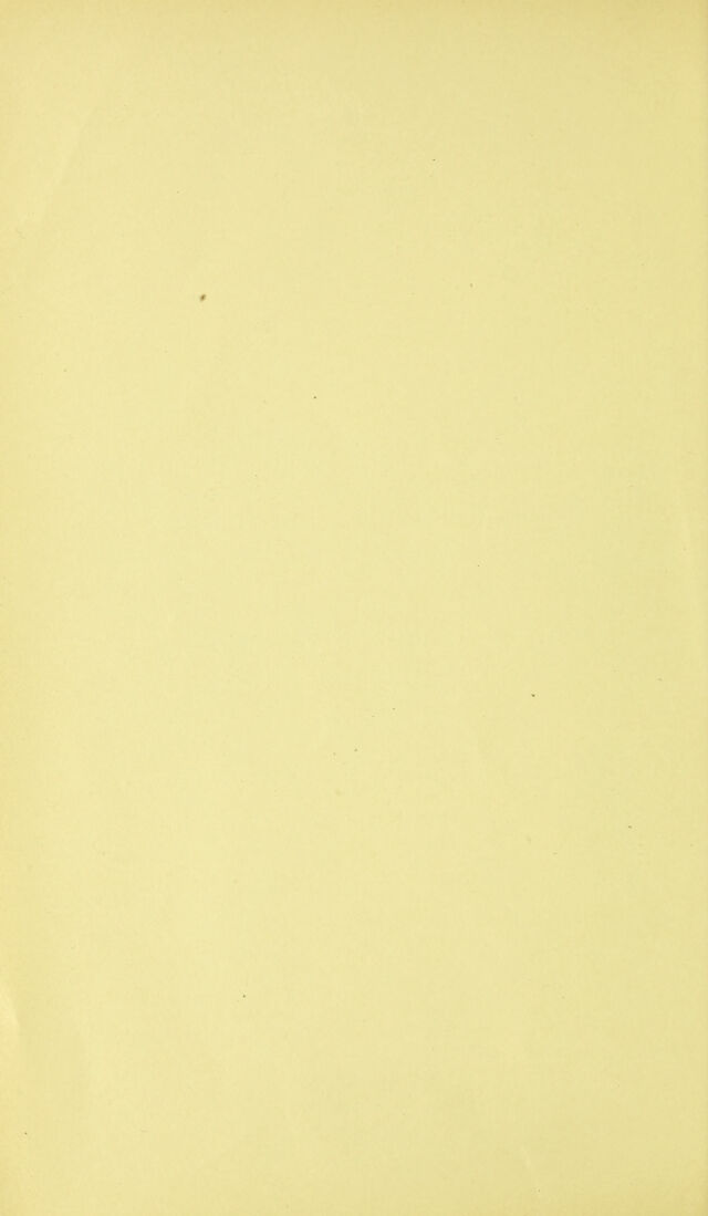digitised image 2