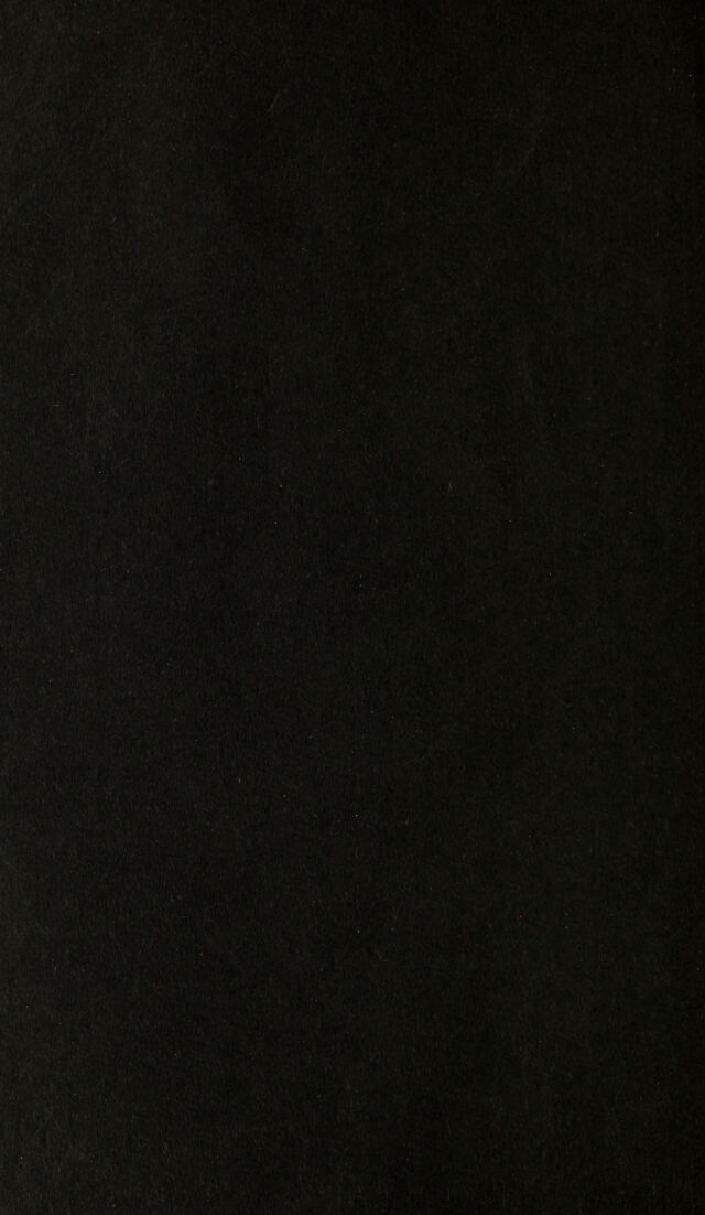 digitised image 2