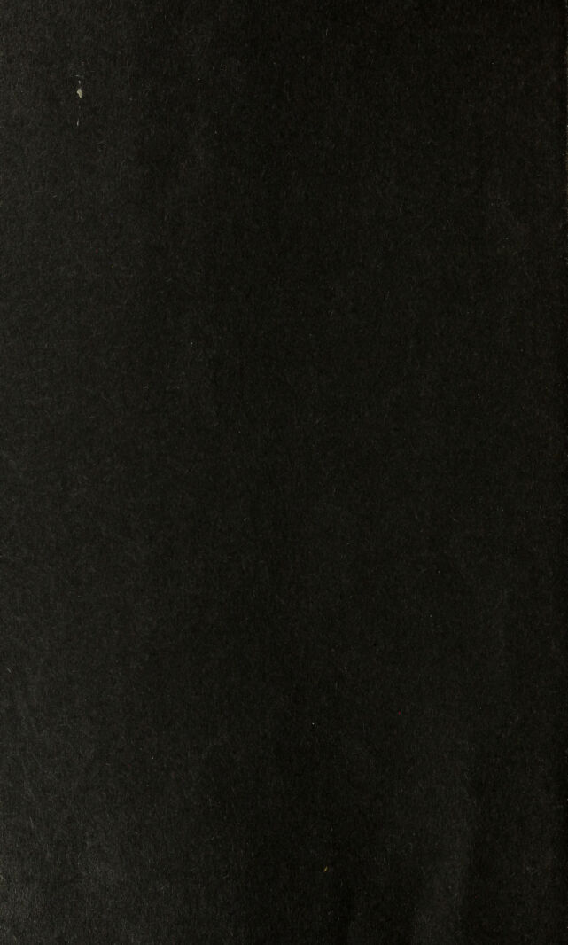digitised image 2