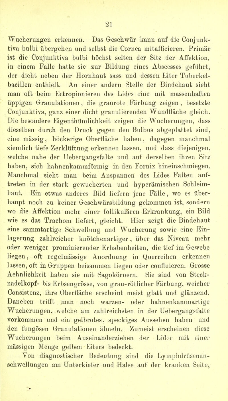 Wucherungen erkennen. Das Geschwür kann auf die Conjunk- tiva bulbi übergehen und selbst die Cornea mitafficieren. Primär ist die Conjunktiva bulbi höchst selten der Sitz der Affektion, in einem Falle hatte sie zur Bildung eines Abscesses geführt, der dicht neben der Hornhaut sass und dessen Eiter Tuberkel- bacillen enthielt. An einer andern Stelle der Bindehaut sieht man oft beim Ectropionieren des Lides eine mit massenhaften üppigen Granulationen, die graurote Färbung zeigen, besetzte Conjunktiva, ganz einer dicht granulierenden Wundfläche gleich. Die besondere Eigenthümlichkeit zeigen die Wucherungen, dass dieselben durch den Druck gegen den Bulbus abgeplattet sind, eine mässig, höckerige Oberfläche haben, dagegen manchmal ziemlich tiefe Zerklüftung erkennen lassen, und dass diejenigen, welche nahe der Uebergangsfalte und auf derselben ihren Sitz haben, sich hahnenkammförmig in den Fornix hineinschmiegen. Manchmal sieht man beim Anspannen des Lides Falten auf- treten in der stark gewucherten und hyperämischen Schleim- haut. Ein etwas anderes Bild liefern jene Fälle, wo es über- haupt noch zu keiner Geschwürsbildung gekommen ist, sondern wo die Affektion mehr einer follikulären Erkrankung, ein Bild wie es das Trachom liefert, gleicht. Hier zeigt die Bindehaut eine sammtartige Schwellung und Wucherung sowie eine Ein- lagerung zahlreicher knötchenartiger, über das Niveau mehr oder weniger prominierender Erhabenheiten, die tief im Gewebe liegen, oft regelmässige Anordnung in Querreihen erkennen lassen, oft in Gruppen beisammen liegen oder confluieren. Grosse Aehnlichkeit haben sie mit Sagokörnern. Sie sind von Steck- nadelkopf- bis Erbsengrösse, von grau-rötlicher Färbung, weicher Consistenz, ihre Oberfläche erscheint meist glatt und glänzend. Daneben triflPt man noch warzen- oder hahnenkammartige Wucherungen, welche am zahlreichsten in der Uebergangsfalte vorkommen und ein gelbrotes, speckiges Aussehen haben und den fungösen Granulationen ähneln. Zumeist erscheinen diese Wucherungen beim Auseinanderziehen der Lider mit einer mässigen Menge gelben Eiters bedeckt. Von diagnostischer Bedeutung sind die Lyraphdrüsenan- schwellungen am Unterkiefer und Halse auf der kranken Seite,