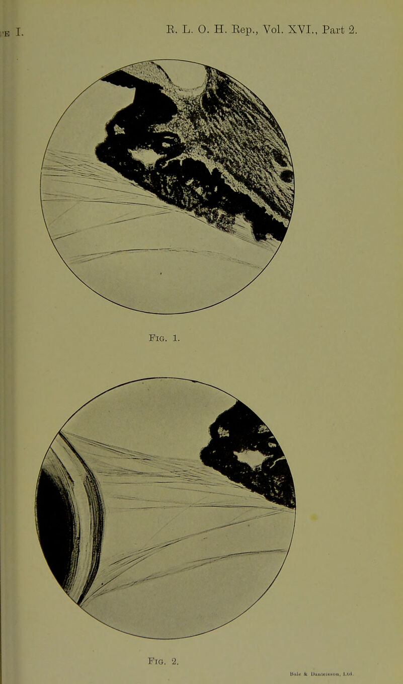 Fig. 2. Itiilc «I lluiilt'luxill, \.Ui