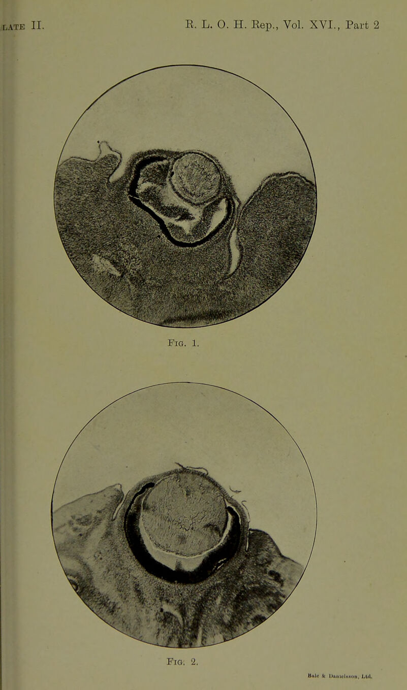 Fig. 2. BnIu & Uniiicltiiion, LU.