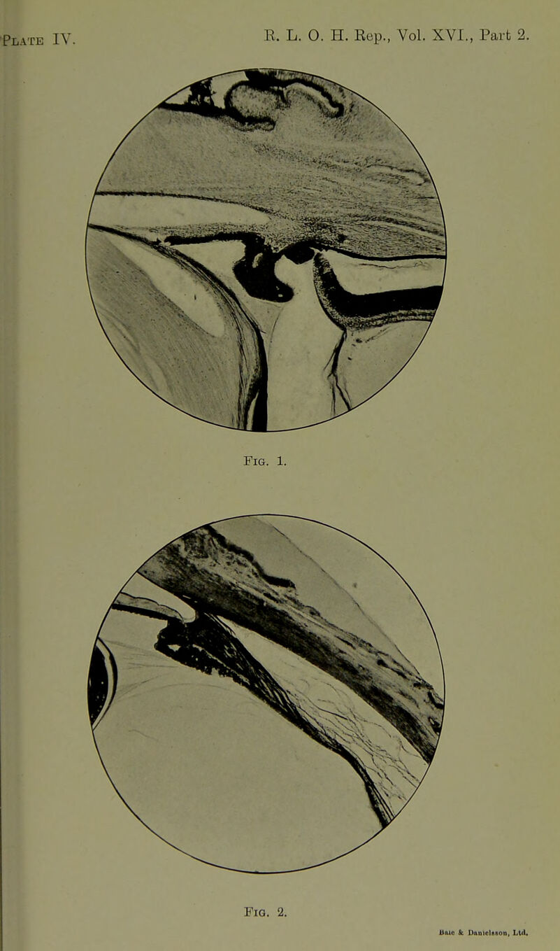 Fig. 2. Uaic & DaDiolBBon, Ltd.