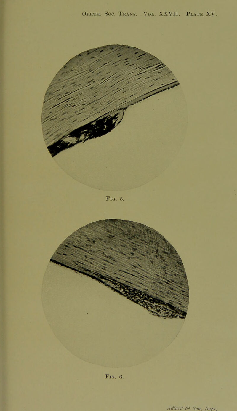 Fig. 5. Fia. 6. Aiilarii & Son, fi>t*»;