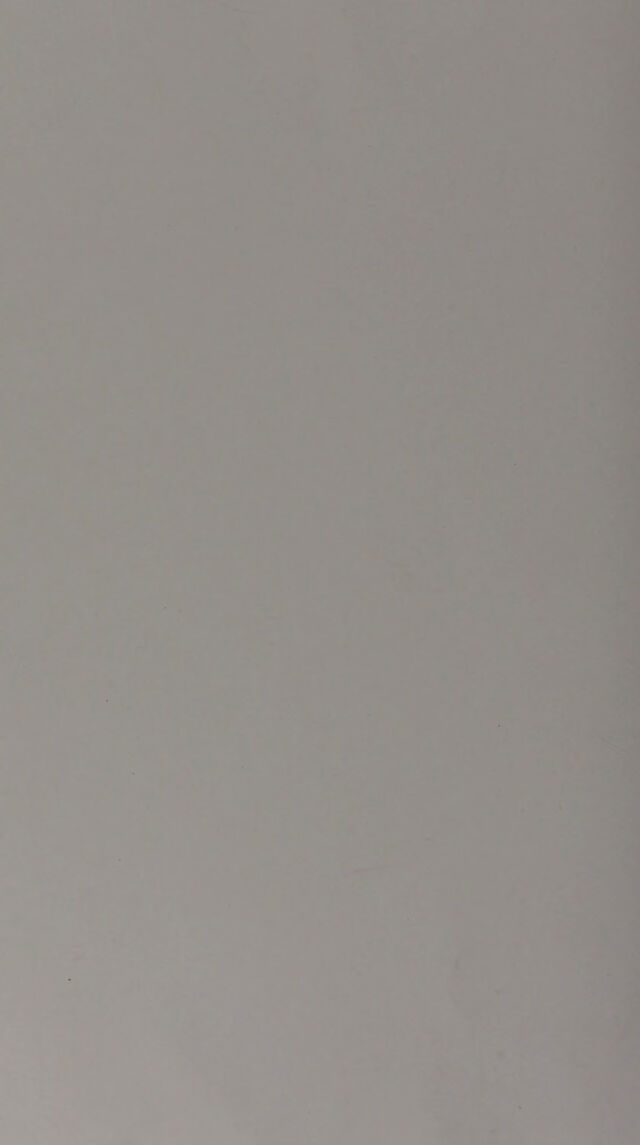 digitised image 2