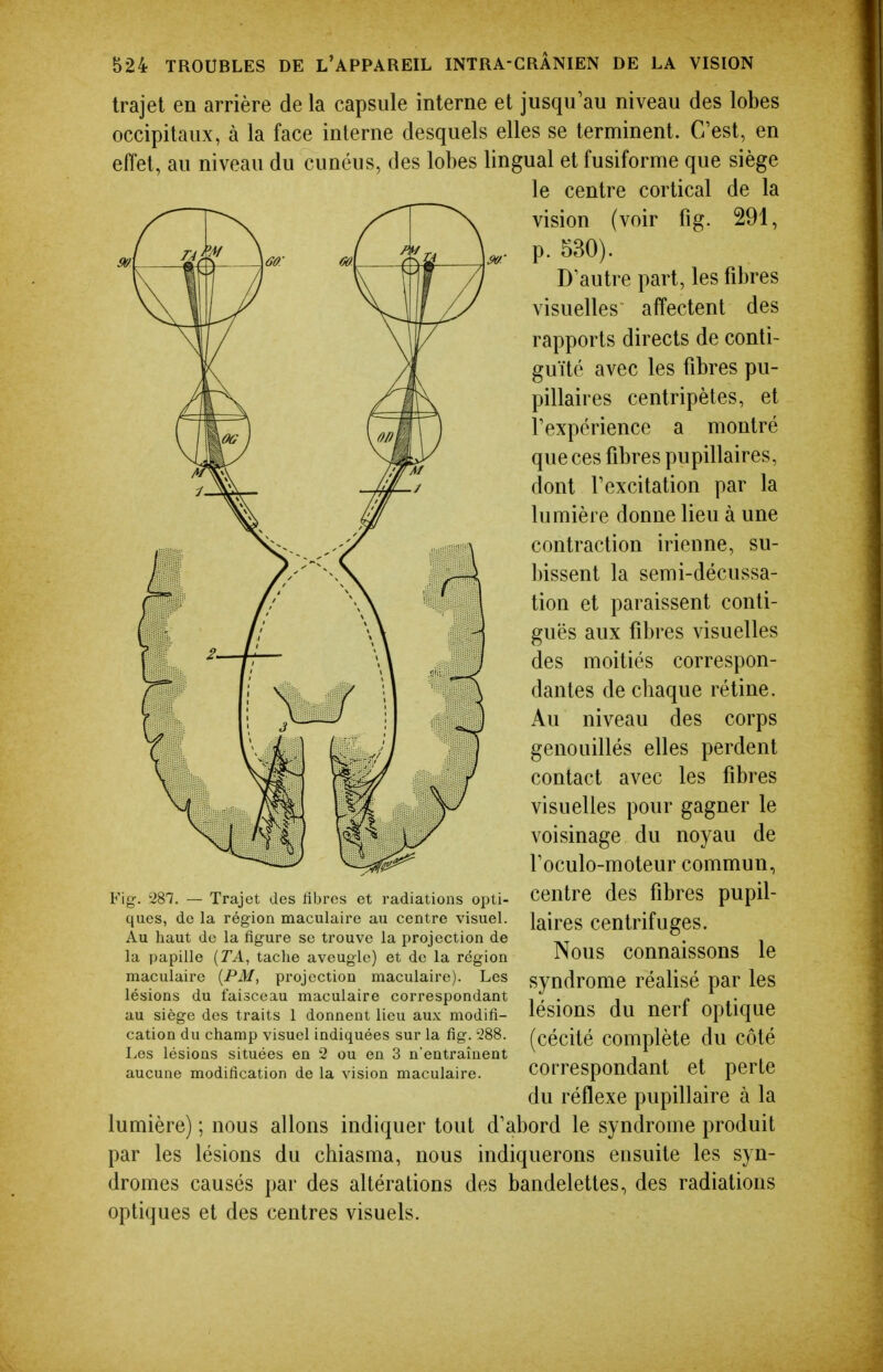 trajet en arrière de la capsule interne et jusqu'au niveau des lobes occipitaux, à la face interne desquels elles se terminent. C'est, en effet, au niveau du cunéus, des lobes lingual et fusiforme que siège _ le centre cortical de la vision (voir fig. 291, p. 530). D'autre part, les fibres visuelles affectent des rapports directs de conti- guïté avec les fibres pu- pillaires centripètes, et l'expérience a montré que ces fibres pupillaires, dont l'excitation par la lumière donne lieu à une contraction irienne, su- bissent la semi-décussa- tion et paraissent conti- guës aux fibres visuelles des moitiés correspon- dantes de chaque rétine. Au niveau des corps genouillés elles perdent contact avec les fibres visuelles pour gagner le voisinage du noyau de l'oculo-moteur commun, centre des fibres pupil- laires centrifuges. Nous connaissons le syndrome réalisé par les lésions du nerf optique (cécité complète du côté correspondant et perte du réflexe pupillaire à la lumière) ; nous allons indiquer tout d'abord le syndrome produit par les lésions du chiasma, nous indiquerons ensuite les syn- dromes causés par des altérations des bandelettes, des radiations optiques et des centres visuels. Fig. 287. — Trajet des libres et radiations opti- ques, de la région maculaire au centre visuel. Au haut de la figure se trouve la projection de la papille [TA, tache aveugle) et de la région maculaire {PM, projection maculaire). Les lésions du faisceau maculaire correspondant au siège des traits 1 donnent lieu aux modifi- cation du champ visuel indiquées sur la fig. 288. Les lésions situées en 2 ou en 3 n'entraînent aucune modification de la vision maculaire.