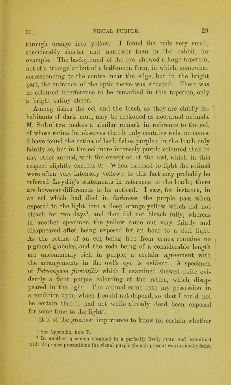 through orange iuto yellow. I found the rods very small, considerably shorter and narrower than in the rabbit, for example. The background of the eye shewed a large tapetum, not of a triangular but of a half-moon form, in which, somewhat corresponding to the centre, near the edge, but in the bright part, the entrance of the optic nerve was situated. There was no coloured interference to be remai-ked in this tapetum, only a bright satiny sheen. Among fishes the eel and the loach, as they are chiefly in- habitants of dark mud, may be reckoned as nocturnal animals. M. Schultze makes a similar remark in reference to the .eel, of whose retina he observes that it only contains rods, no cones. I have found the retina of both fishes purple: in the loach only faintly so, but in the eel more intensely purple-coloured than in any other animal, with the exception of the owl, which in this respect slightly exceeds it. When exposed to light the retinas were often very intensely yellow; to this fact may probably be referred Leydig's statements in reference to the loach; there are however differences to be noticed. I saw, for instance, in an eel which had died in darkness, the purple pass when exposed to the light into a deep orange-yellow which did not bleach for two days^ and then did not bleach fully, whereas in another specimen the yellow came out very faintly and disappeared after being exposed for an hour to a dull light. As the retina of an eel, being free from cones, contains no pigment-globules, and the rods being of a considerable length are uncommonly rich in purple, a certain agreement with the arrangements in the owl's eye is evident. A specimen of Petromyzon fiuviatilis which I examined shewed quite evi- dently a faint purple colouring of the retina, which disap- peared in the light. The animal came into my possession in a condition upon which I could not depend, so that I could not be certain that it had not while already dead been exposed for some time to the lights It is of the greatest importance to know for certain Avhether 1 Seo Appendix, note B.  In another specimen obtained in a perfectly lively state and examined with all proper precautions the visual purple though present was decidedly faint.