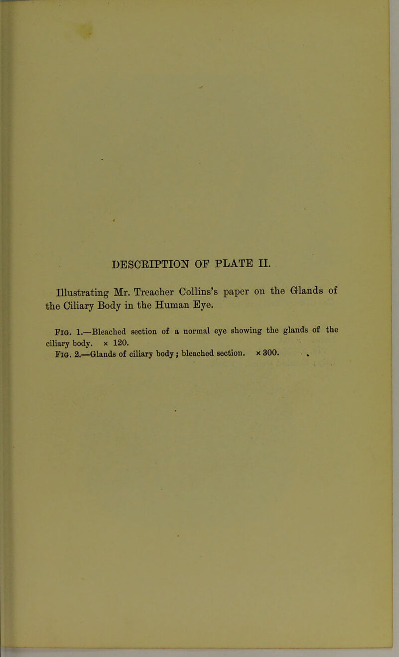 Illustrating Mr. Treacher Collins's paper on the Glands of the Ciliary Body in the Human Eye. Fig. 1.—Bleached section of a normal eye showing the glands of the ciliary body, x 120. Fig. 2.—Glands of ciliary body; bleached section, x 300.