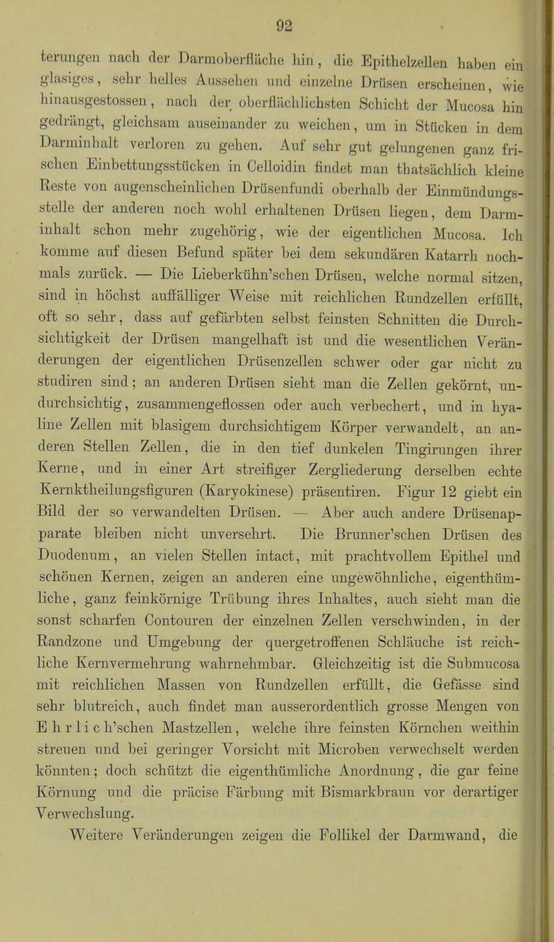 terungeu nach der Darmoberfläche hm, die EpithelzeUen haben ein glasiges, sehr helles Aussehen und einzelne Drüsen erscheinen, wie hinausgestossen, nach der oberflächlichsten Schicht der Mucosl hin gedrängt, gleichsam auseinander zu weichen, um in Stücken in dem Darminhalt verloren zu gehen. Auf sehr gut gelungenen ganz fri- schen Einbettungsstücken in Celloidin findet man thatsächlich kleine Reste von augenscheinlichen Drüsenfundi oberhalb der Einmündungs- stelle der anderen noch wohl erhaltenen Drüsen liegen, dem Darm- inhalt schon mehr zugehörig, wie der eigentlichen Mucosa. Ich komme auf diesen Befund später bei dem sekundären Katarrh noch- mals zurück. — Die Lieberkühn'schen Drüsen, welche normal sitzen, sind in höchst auffälliger Weise mit reichlichen Rundzellen erfüllt, oft so sehr, dass auf gefärbten selbst feinsten Schnitten die Durch- sichtigkeit der Drüsen mangelhaft ist und die wesentlichen Verän- derungen der eigentlichen Drüsenzellen schwer oder gar nicht zu studiren sind; an anderen Drüsen sieht man die Zellen gekörnt, un- durchsichtig, zusammengeflossen oder auch verbechert, und in hya- line Zellen mit blasigem durchsichtigem Körper verwandelt, an an- deren Stellen Zellen, die in den tief dunkelen Tingii-ungen ihrer Kerne, und in einer Art streifiger Zergliederung derselben echte Kernktheilungsfiguren (Karyokinese) präsentiren. Figur 12 giebt ein Bild der so verwandelten Drüsen. — Aber auch andere Drüsenap- parate bleiben nicht unversehrt. Die Brunner'schen Drüsen des Duodenum, an vielen Stellen intact, mit prachtvollem Epithel und schönen Kernen, zeigen an anderen eine ungewöhnliche, eigenthüm- liche, ganz feinkörnige Trübung ihres Inhaltes, auch sieht man die sonst scharfen Contouren der einzelnen Zellen verschwinden, in der . Randzone und Umgebung der quergetroffenen Schläuche ist reich- liche Kern Vermehrung wahrnehmbar. Gleichzeitig ist die Submucosa mit reichlichen Massen von Rundzellen erfüllt, die Grefässe sind sehr blutreich, auch findet man ausserordentlich grosse Mengen von E h r I i c h'schen Mastzellen, welche ihre feinsten Körnchen weithin streuen und bei geringer Vorsicht mit Microben verwechselt werden könnten; doch schützt die eigenthümliche Anordnung, die gar feine Körnung und die präcise Färbung mit Bismarkbraun vor derartiger Verwechslung. V^eitere Veränderungen zeigen die Follikel der Darmwand, die