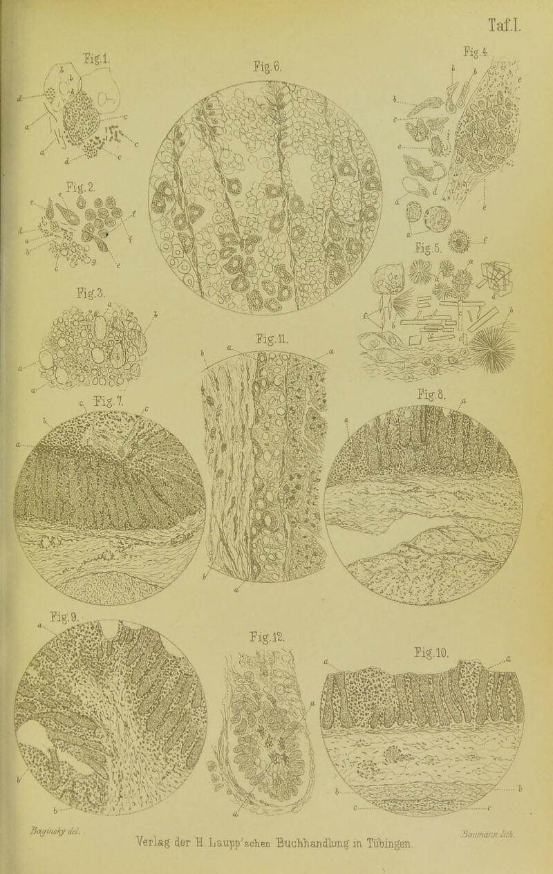Baijuisky dd. Verlag der H. Ijaupp'schen BuchTiandlung in Tübingen. .'■j'JitiruiJjl ..V;.';.