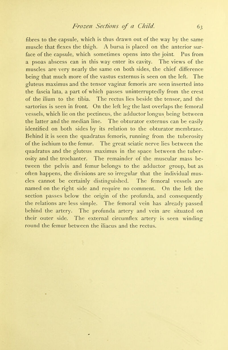 fibres to the capsule, which is thus drawn out of the way by the same muscle that flexes the thigh. A bursa is placed on the anterior sur- face of the capsule, which sometimes opens into the joint. Pus from a psoas abscess can in this way enter its cavity. The views of the muscles are very nearly the same on both sides, the chief difference being that much more of the vastus externus is seen on the left. The gluteus maximus and the tensor vaginae femoris are seen inserted into the fascia lata, a part of which passes uninterruptedly from the crest of the ilium to the tibia. The rectus lies beside the tensor, and the sartorius is seen in front. On the left leg the last overlaps the femoral vessels, which lie on the pectineus, the adductor longus being between the latter and the median line. The obturator externus can be easily identified on both sides by its relation to the obturator membrane. Behind it is seen the quadratus femoris, running from the tuberosity of the ischium to the femur. The great sciatic nerve lies between the quadratus and the gluteus maximus in the space between the tuber- osity and the trochanter. The remainder of the muscular mass be- tween the pelvis and femur belongs to the adductor group, but as often happens, the divisions are so irregular that the individual mus- cles cannot be certainly distinguished. The femoral vessels are named on the right side and require no comment. On the left the section passes below the origin of the profunda, and consequently the relations are less simple. The femoral vein has already passed behind the artery. The profunda artery and vein are situated on their outer side. The external circumflex artery is seen winding round the femur between the iliacus and the rectus.