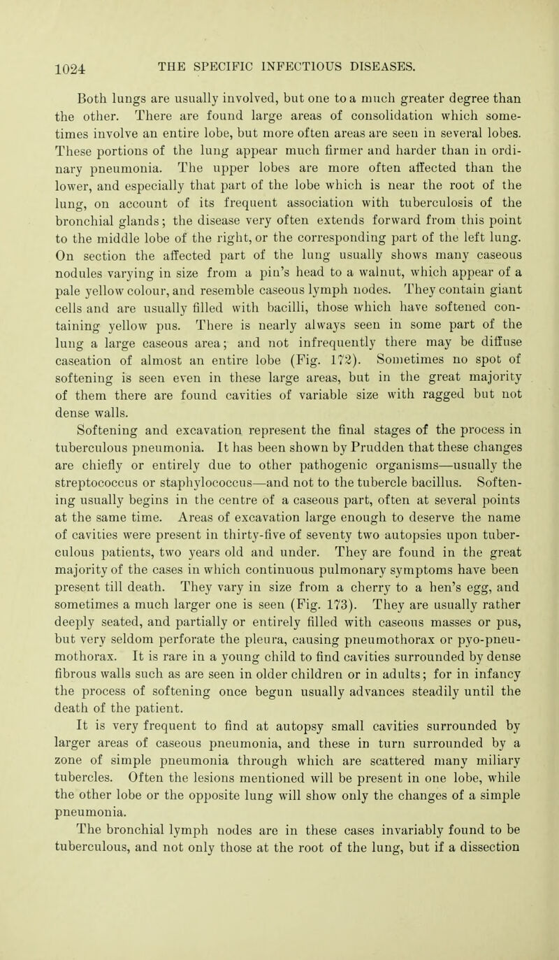 Both lungs are usually involved, but one to a much greater degree than the other. There are found large areas of consolidation whicli some- times involve an entire lobe, but more often areas are seen in several lobes. These portions of the lung appear much firmer and harder than in ordi- nary pneumonia. The upper lobes are more often affected than the lower, and especially that part of the lobe which is near the root of the lung, on account of its frequent association with tuberculosis of the bronchial glands; the disease very often extends forward from this point to the middle lobe of the right, or the corresponding part of the left lung. On section the affected part of tlie lung usually shows many caseous nodules varying in size from a piu's head to a walnut, which appear of a pale yellow colour, and resemble caseous lymph nodes. They contain giant cells and are usually filled with bacilli, those which have softened con- taining yellow pus. There is nearly always seen in some part of the lung a large caseous area; and not infrequently there may be diffuse caseation of almost an entire lobe (Fig. 172). Sometimes no spob of softening is seen even in these large areas, but in the great majority of them there are found cavities of variable size with ragged but not dense walls. Softening and excavation represent the final stages of the process in tuberculous pneumonia. It has been shown by Prudden that these changes are chiefly or entirely due to other pathogenic organisms—usually the streptococcus or staphylococcus—and not to the tubercle bacillus. Soften- ing usually begins in the centre of a caseous part, often at several points at the same time. Areas of excavation large enough to deserve the name of cavities were present in thirty-five of seventy two autopsies upon tuber- culous patients, two years old and under. They are found in the great majority of the cases in which continuous pulmonary symptoms have been present till death. They vary in size from a cherry to a hen's egg, and sometimes a much larger one is seen (Fig. 173). They are usually rather deeply seated, and partially or entirely filled with caseous masses or pus, but very seldom perforate the pleura, causing pneumothorax or pyo-pneu- mothorax. It is rare in a young child to find cavities surrounded by dense fibrous walls such as are seen in older children or in adults; for in infancy the process of softening once begun usually advances steadily until the death of the patient. It is very frequent to find at autopsy small cavities surrounded by larger areas of caseous pneumonia, and these in turn surrounded by a zone of simple pneumonia through which are scattered many miliary tubercles. Often the lesions mentioned will be present in one lobe, while the other lobe or the opposite lung will show only the changes of a simple pneumonia. The bronchial lymph nodes are in these cases invariably found to be tuberculous, and not only those at the root of the lung, but if a dissection