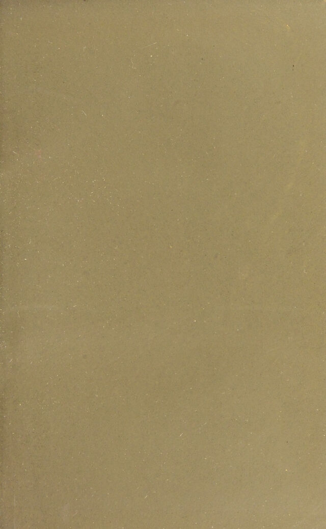 digitised image 3