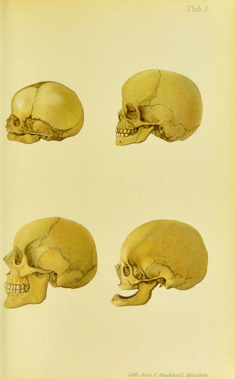 Lüh.. Art.st /■: Heicliliold, München.