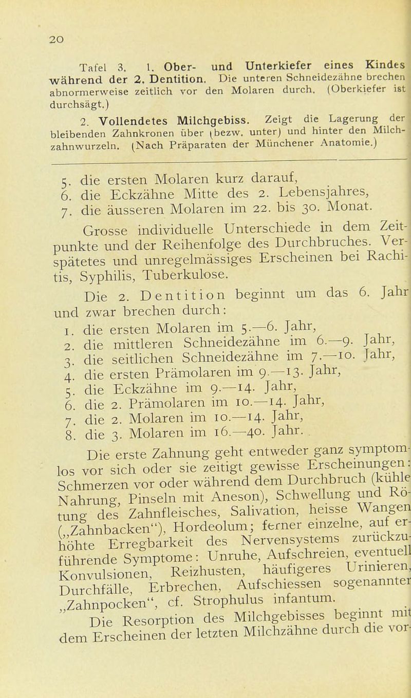 Tafel 3. 1. Ober- und Unterkiefer eines Kindes während der 2. Dentition. Die unteren Schneidezähne brechen abnormerweise zeitlich vor den Molaren durch. (Oberkiefer ist durchsägt.) 2. Vollendetes Milchgebiss. Zeigt die Lagerung der bleibenden Zahnkronen über ^bezw. unter) und hinter den Milch- zahnwurzeln. (Nach Präparaten der Münchener Anatomie.) 5. die ersten Molaren kurz darauf, 6. die Eckzähne Mitte des 2. Lebensjahres, 7. die äusseren Molaren im 22. bis 30. Monat. Grosse individuelle Unterschiede in dem Zeit- punkte und der Reihenfolge des Durchbruches. Ver- spätetes und unregelmässiges Erscheinen bei Rachi- tis, Syphilis, Tuberkulose. Die 2. Dentition beginnt um das 6. Jahr und zwar brechen durch: 1. die ersten Molaren im 5.-6. Jahr, 2 die mittleren Schneidezähne im 6.-9. Jahr, 3. die seitlichen Schneidezähne im 7—10. Jahr, 4. die ersten Prämolaren im 9.-13- Jatir> 5. die Eckzähne im 9.-14- Janr> 6. die 2. Prämolaren im 10.—14. Jahr, 7. die 2. Molaren im 10.—14. Jahr, 8. die 3. Molaren im 16.—40. Jahr. Die erste Zahnung geht entweder ganz symptom- los vor sich oder sie zeitigt gewisse Erscheinungen: Schmerzen vor oder während dem Durchbruch (kühle Nahrung, Pinseln mit Aneson), Schwellung und Rö- tung des Zahnfleisches, Salivation, heisse Wangen f Zahnbacken), Hordeolum; ferner einzelne, auf er- höhte Erregbarkeit des Nervensystems zurückzu- führende Symptome: Unruhe, Aufschreien eventuell Konvulsionen Reizhusten, häufigeres Urinieren Durchfälle, Erbrechen, Aufschiessen sogenannter Zahnpocken, cf. Strophulus infantum.  Die Resorption des Milchgebisses beginnt mit dem Erscheinen der letzten Milchzähne durch die voi-