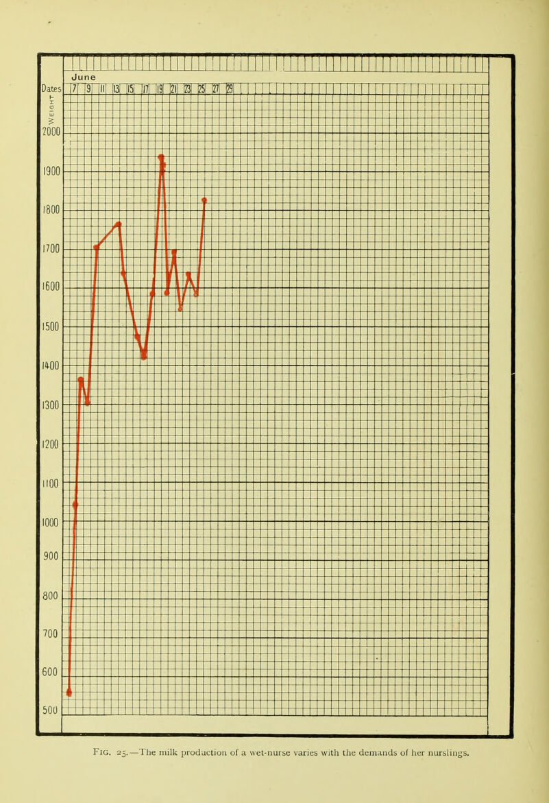 Fig. 25.—The milk production of a wet-nui se varies with tlie dernaads o( her nurslings.