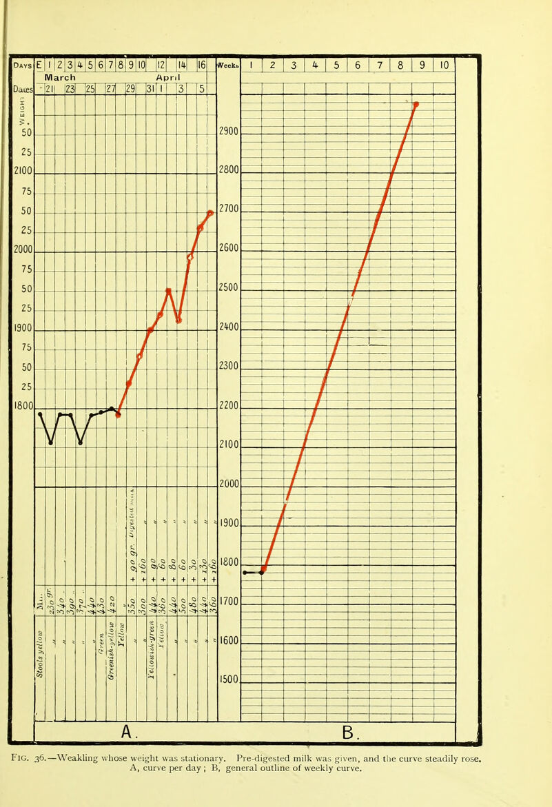 Fig. 36.—Weakling whose weight was stationary. Pre-digested milk was given, and the curve steadily rose. A, curve per day ; B, general outline of weekly curve.