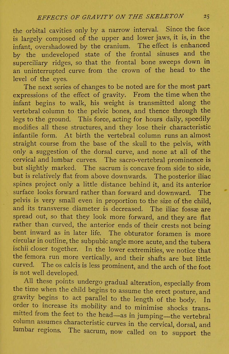 the orbital cavities only by a narrow interval. Since the face is largely composed of the upper and lower jaws, it is, in the infant, overshadowed by the cranium. The effect is enhanced by the undeveloped state of the frontal sinuses and the superciliary ridges, so that the frontal bone sweeps down in an uninterrupted curve from the crown of the head to the level of the eyes. The next series of changes to be noted are for the most part expressions of the effect of gravity. From the time when the infant begins to walk, his weight is transmitted along the vertebral column to the pelvic bones, and thence through the legs to the ground. This force, acting for hours daily, speedily modifies all these structures, and they lose their characteristic infantile form. At birth the vertebral column runs an almost straight course from the base of the skull to the pelvis, with only a suggestion of the dorsal curve, and none at all of the cervical and lumbar curves. The sacro-vertebral prominence is but slightly marked. The sacrum is concave from side to side, but is relatively flat from above downwards. The posterior iliac spines project only a little distance behind it, and its anterior surface looks forward rather than forward and downward. The pelvis is very small even in proportion to the size of the child, and its transverse diameter is decreased. The iliac fossae are spread out, so that they look more forward, and they are flat rather than curved, the anterior ends of their crests not being bent inward as in later life. The obturator foramen is more circular in outline, the subpubic angle more acute, and the tubera ischii closer together. In the lower extremities, we notice that the femora run more vertically, and their shafts are but little curved. The os calcis is less prominent, and the arch of the foot is not well developed. All these points undergo gradual alteration, especially from the time when the child begins to assume the erect posture, and gravity begins to act parallel to the length of the body.' In order to increase its mobility and to minimise shocks trans- mitted from the feet to the head—as in jumping—the vertebral column assumes characteristic curves in the cervical, dorsal, and lumbar regions. The sacrum, now called on to support the