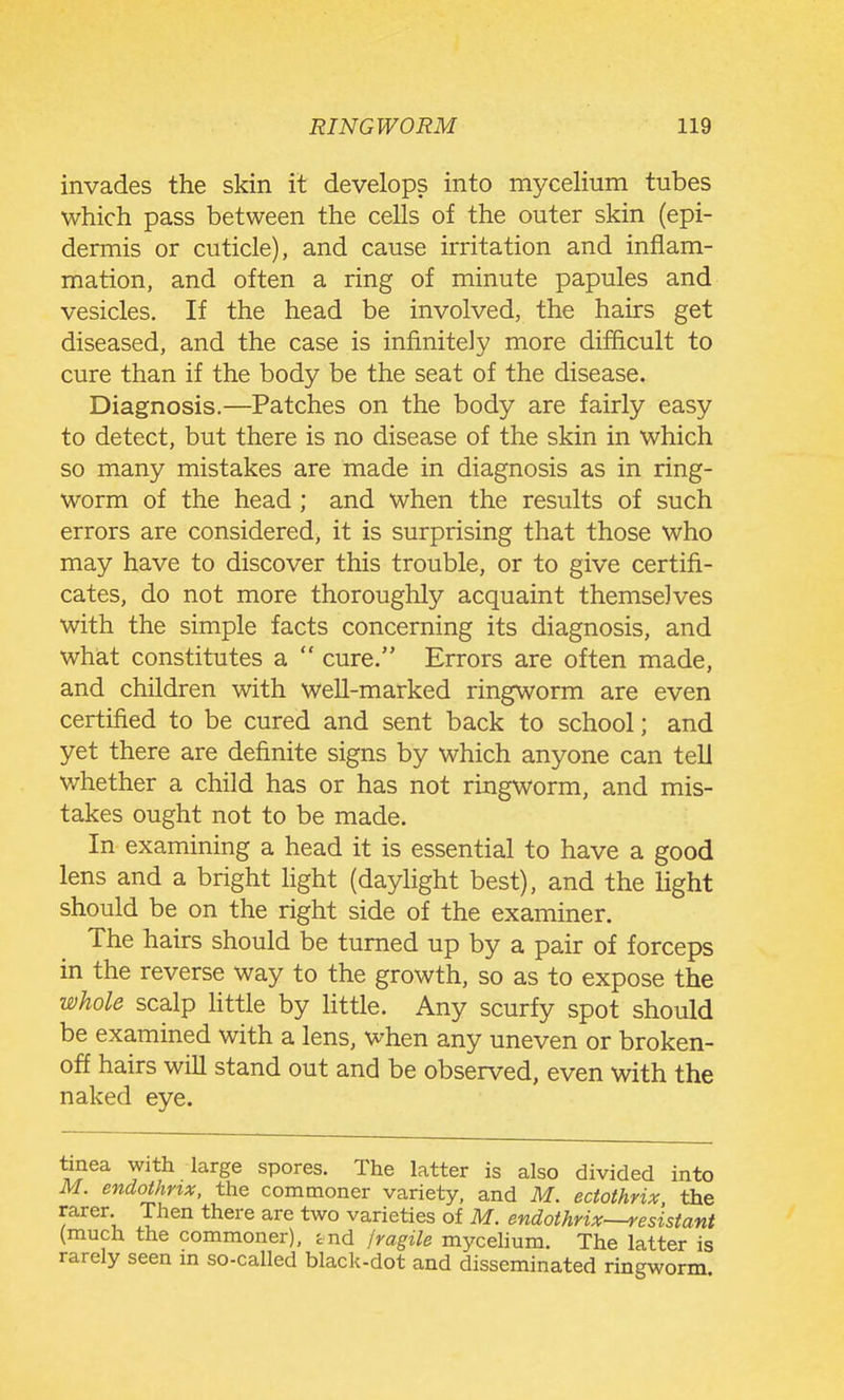 invades the skin it develops into mycelium tubes which pass between the cells of the outer skin (epi- dermis or cuticle), and cause irritation and inflam- mation, and often a ring of minute papules and vesicles. If the head be involved, the hairs get diseased, and the case is infinitely more difficult to cure than if the body be the seat of the disease. Diagnosis.—Patches on the body are fairly easy to detect, but there is no disease of the skin in which so many mistakes are made in diagnosis as in ring- worm of the head ; and when the results of such errors are considered, it is surprising that those who may have to discover this trouble, or to give certifi- cates, do not more thoroughly acquaint themselves with the simple facts concerning its diagnosis, and what constitutes a  cure. Errors are often made, and children with well-marked ringworm are even certified to be cured and sent back to school; and yet there are definite signs by which anyone can tell whether a child has or has not ringworm, and mis- takes ought not to be made. In examining a head it is essential to have a good lens and a bright fight (daylight best), and the light should be on the right side of the examiner. The hairs should be turned up by a pair of forceps in the reverse way to the growth, so as to expose the whole scalp httle by little. Any scurfy spot should be examined with a lens, when any uneven or broken- off hairs wiU stand out and be observed, even with the naked eye. tinea with large spores. The latter is also divided into M. endothnx, the commoner variety, and M. ectothrix the rarer. Then there are two varieties of M. endothrix—resistant (much the commoner), tnd /ragile mycelium. The latter is rarely seen m so-called black-dot and disseminated ringworm