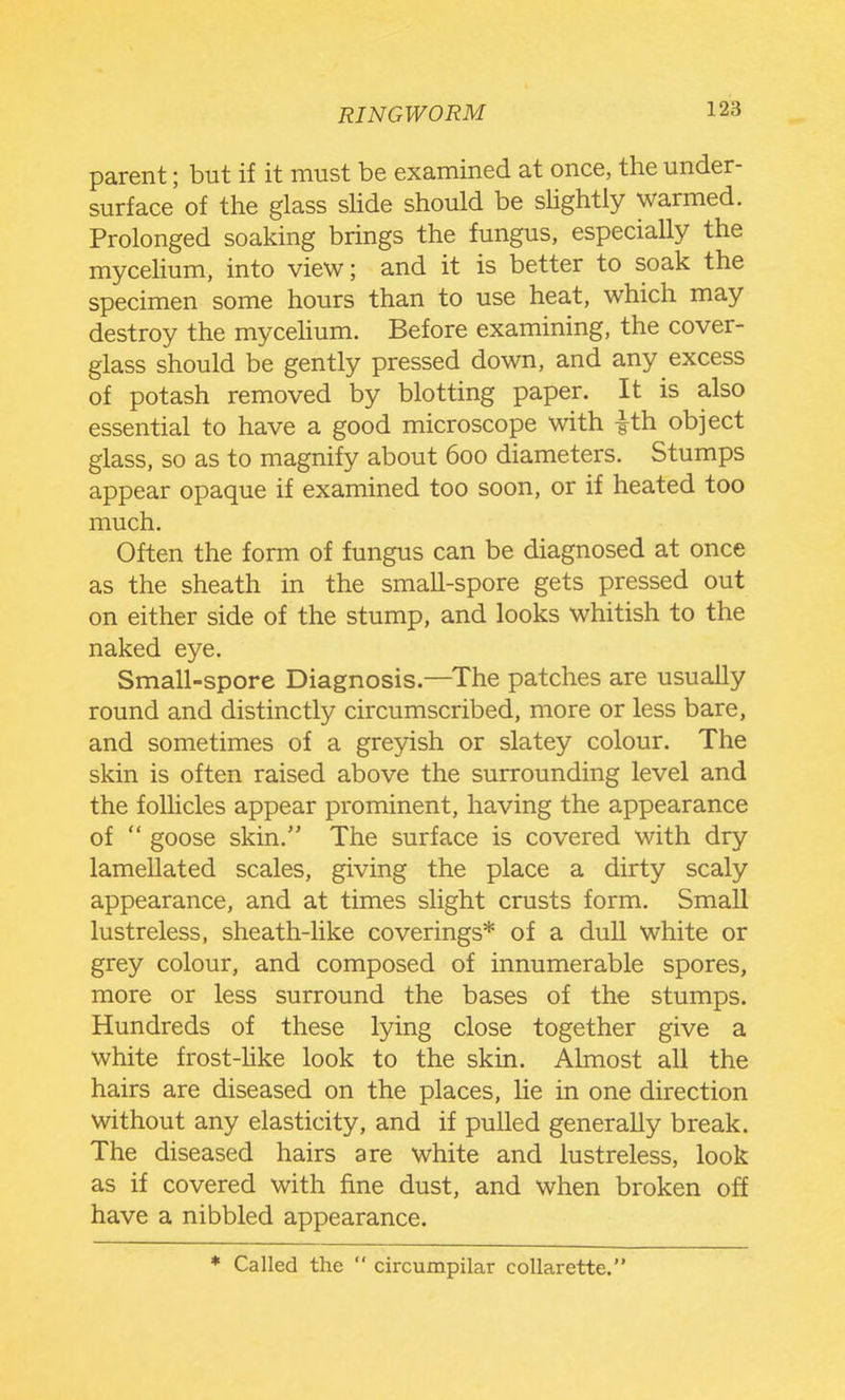 parent; but if it must be examined at once, the under- surface of the glass sUde should be sUghtly warmed. Prolonged soaking brings the fungus, especially the mycelium, into view; and it is better to soak the specimen some hours than to use heat, which may destroy the mycehum. Before examining, the cover- glass should be gently pressed down, and any excess of potash removed by blotting paper. It is also essential to have a good microscope with ith object glass, so as to magnify about 600 diameters. Stumps appear opaque if examined too soon, or if heated too much. Often the form of fungus can be diagnosed at once as the sheath in the small-spore gets pressed out on either side of the stump, and looks whitish to the naked eye. Small-spore Diagnosis.—The patches are usually round and distinctly circumscribed, more or less bare, and sometimes of a greyish or slatey colour. The skin is often raised above the surrounding level and the follicles appear prominent, having the appearance of  goose skin. The surface is covered with dry lamellated scales, giving the place a dirty scaly appearance, and at times slight crusts form. Small lustreless, sheath-like coverings* of a dull white or grey colour, and composed of innumerable spores, more or less surround the bases of the stumps. Hundreds of these lying close together give a white frost-hke look to the skin. Almost all the hairs are diseased on the places, lie in one direction without any elasticity, and if pulled generally break. The diseased hairs are white and lustreless, look as if covered with fine dust, and when broken off have a nibbled appearance. * Called the  circumpilar collarette.