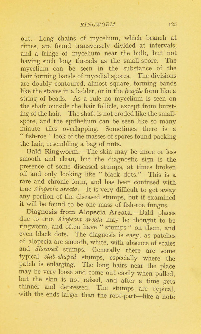 out. Long chains of mycelium, which branch at times, are found transversely divided at intervals, and a fringe of mycelium near the bulb, but not having such long threads as the small-spore. The mycelium can be seen in the substance of the hair forming bands of mycelial spores. The divisions are doubly contoured, almost square, forming bands like the staves in a ladder, or in the fragile form like a string of beads. As a rule no mycelium is seen on the shaft outside the hair follicle, except from burst- ing of the hair. The shaft is not eroded like the small- spore, and the epithelium can be seen like so many minute tiles overlapping. Sometimes there is a  fish-roe  look of the masses of spores found packing the hair, resembling a bag of nuts. Bald Ringworm.—^The skin may be more or less smooth and clean, but the diagnostic sign is the presence of some diseased stumps, at times broken off and only looking like  black dots. This is a rare and chronic form, and has been confused with true Alopecia areata. It is very difficult to get away any portion of the diseased stumps, but if examined it will be found to be one mass of fish-roe fungus. Diagnosis from Alopecia Areata.—Bald places due to true Alopecia areata may be thought to be ringworm, and often have  stumps  on them, and even black dots. The diagnosis is easy, as patches of alopecia are smooth, white, with absence of scales and diseased stumps. Generally there are some typical club-shaped stumps, especially where the patch is enlarging. The long hairs near the place may be very loose and come out easily when pulled, but the skin is not raised, and after a time gets thinner and depressed. The stumps are typical, with the ends larger than the root-part—Hke a note