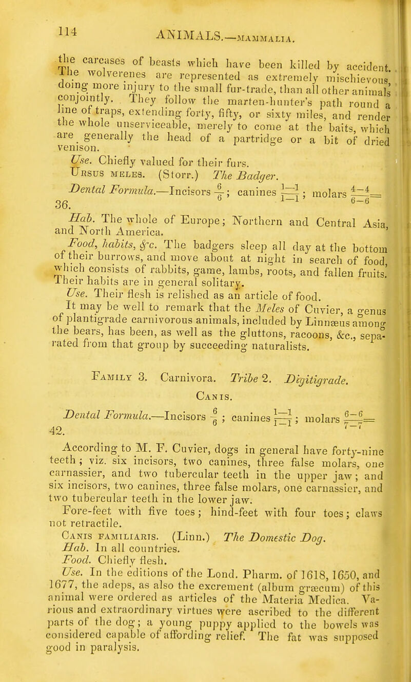 the carcases of beasts which have been killed by accident ine wolverenes are represented as extremely mischievous doing more injury to the small fur-trade, than all other animals conjointly. They follow the marten-hunter's path round a me of traps, extending forty, fifty, or sixty miles, and render the whole unserviceable, merely to come at the baits, which are generally the head of a partridge or a bit of dried venison. Use. Chiefly valued for their furs. TJnsus meles. (Storr.) The Badger. Dental Formula— Incisors ~; canines 5 molars —= 36. oil 6-6 Hah. The whole of Europe; Northern and Central Asia and North America. Food, habits, Sfc. The badgers sleep all day at the bottom of their burrows, and move about at night in search of food which consists of rabbits, game, lambs, roots, and fallen fruits! lheir habits are in general solitary. Use. Their flesh is relished as an article of food. It may be well to remark that the Meles of Cuvier, a o-enus of plantigrade carnivorous animals, included by Linneeus amono- the bears, has been, as well as the gluttons, racoons, &c, sepa° rated from that group by succeeding naturalists. Family 3. Carnivora. Tribe 2, Digitigrade. Can is. Dental Formula.—Incisors -| ; canines ~ ; molars 42. 7-7 According to M. F. Cuvier, dogs in general have forty-nine teeth ; viz. six incisors, two canines, three false molars, one carnassier, and two tubercular teeth in the upper jaw; and six incisors, two canines, three false molars, one carnassier, and two tubercular teeth in the lower jaw. Fore-feet with five toes; hind-feet with four toes; claws not retractile. Canis familiaris. (Linn.) The Domestic Dog. Hah. In all countries. Food. Chiefly flesh. Use. In the editions of the Lond. Pharm. of 1618, 1650, and 1677, the adeps, as also the excrement (album greecum) of this animal were ordered as articles of the Materia Medica, Va- rious and extraordinary virtues were ascribed to the different parts of the dog; a young puppy applied to the bowels was considered capable of affording relief. The fat was supposed good in paralysis.