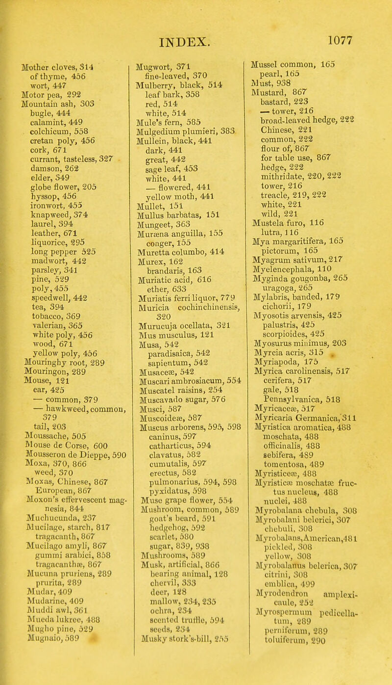 Mother cloves, S14 of thyme, 456 wort, 447 Motor pea, 292 Mountain ash, 303 bugle, 444 calamint, 449 colchicum, 558 Cretan poly, 456 cork, 671 currant, tasteless, 327 damson, 262 elder, 349 globe flower, 205 hyssop, 456 ironwort, 455 knapweed, 374 laurel, 394 leather, 671 liquorice, 295 long pepper 525 madwort, 442 parsley, 341 pine, 529 poly, 455 speedwell, 442 tea, 394 tobacco, 369 valerian, 365 white poly, 456 wood, 671 yellow poly, 456 Mouringhy root, 289 Mouringon, 289 Mouse, 121 ear, 425 — common, 379 — hawkweed, common, 379 tail, 203 Moussache, 505 Mouse dc Corse, 600 Mousseron de Dieppe, 590 Moxa, 370, 866 weed, 370 Moxas, Chinese, 867 European, 867 Moxon's effervescent mag- nesia, 844 Muchucunda, 237 Mucilage, starch, 817 tragacanth, 867 Mucilago amyli, 867 gummi arabici, 858 tragacanthx, 867 Mucuna pruriens, 289 prurita, 289 Mudar, 409 Mudarine, 409 Muddi awl, 361 Muedalukrce, 488 Mugho pine, 529 Mugnaio, 589 Mugwort, 371 fine-leaved, 370 Mulberry, black, 514 leaf bark, 358 red, 514 white, 514 Mule's fern, 585 Mulgedium plumieri, 383 Mullein, black, 441 dark, 441 great, 442 sage leaf, 453 white, 441 — flowered, 441 yellow moth, 441 Mullet, 151 Mullus barbatas, 151 Mungeet, 363 Mura?na anguilla, 155 conger, 155 Muretta columbo, 414 Murex, 162 brandaris, 163 Muriatic acid, 616 ether, 633 Muriatis ferri liquor, 779 Muricia cochinchinensis, 320 Murucuja ocellata, 321 Mus musculus, 121 Musa, 542 paradisaica, 542 sapientum, 542 Musaceee, 542 Muscari ambrosiacum, 554 Muscatel raisins, 254 Muscavado sugar, 576 Musci, 587 Muscoideffi, 587 Muscus arborens, 595, 598 caninus, 597 catharticus, 594 clavatus, 582 cumutalis, 597 erectus, 582 pulmonarius, 594, 598 pyxidatus, 598 Muse grape flower, 554 Mushroom, common, 589 goat's beard, 591 hedgehog, 592 scarlet, 580 sugar, 839, 938 Mushrooms, 589 Musk, artificial, 866 bearing animal, 128 chervil, 333 deer, 128 mallow, 234, 235 ochra, 234 scented truffle, 594 seeds, 234 Musky stork's-bill, 255 Mussel common, 165 pearl, 165 Must, 938 Mustard, 867 bastard, 223 — tower, 216 broad-leaved hedge, 222 Chinese, 221 common, 222 flour of, 867 for table use, 867 hedge, 222 mithridate, 220, 222 tower, 216 treacle, 219, 222 white, 221 wild, 221 Mustela furo, 116 lutra, 116 Mya margaritifera, 165 pictorum, 165 Myagrum sativum, 217 Myelencephala, 110 Myginda gougonba, 265 uragoga, 265 Mylabris, banded, 179 cichorii, 179 Myosotis arvensis, 425 palustris, 425 scorpioides, 425 Myosurus minimus, 203 Myrcia acris, 315 Myriapoda, 175 Myrica carolinensis, 517 cerifera, 517 gale, 518 Pennsylvania, 618 Myricaceffi, 517 Myricaria Germanica, 311 Myristica aromatica, 488 moschata, 488 officinalis, 488 sebifera, 489 toraentosa, 489 Myristicere, 488 Myristicre moschata; fruc- tus nucleus, 488 nuclei, 488 Myrobalana chcbula, 308 Myrobalani belerici, 307 chebuli, 308 My robalans, American^ 81 pickled, 308 yellow, 308 Myrobalanus belerica, 307 citrini, 308 emblica, 499 Myrodendron amplexi- caule, 252 Myrospcrmum pedicella- tum, 289 perniferum, 289 toluiferum, 290