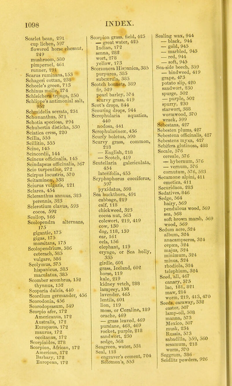 Scarlet bean, 291 cup lichen, 597 flowered horse chesnut, 249 mushroom, 530 pimpernel, 461 runner, 291 Scarus ruminans, 153 Schageri cottan, 238 Scheele's green, 713 Schinus molle, 274 Schleichera trijuga, 250 Schlippe's antimonial salt, 952 Schmidelia serrata, 251 Schoenanthus, 571 Schotia speciosa, 294 Schubertia disticha, 530 Sciatica cress, 220 Scilla, 555 Scillitin, 555 Seine, 145 Scincordii, 144 Scincus officinalis, 145 Scindapsus officinalis, 567 Scio turpentine, 272 Scirpus locustris, 570 Scitaminese, 538 Sciurus vulgaris, 121 Sclarea, 454 Scleranthus annuus, 323 perennis, 323 Sclerotium clavus, 593 cocos, 592 Scollop, 166 Scolopendra alteruans, 175 gigantic, 175 gigas, 175 morsitans, 175 Scolopendrium, 586 ceterach, 585 vulgare, 586 Scolymus, 375 hispanicus, 385 maculatus, 385 Scomber scombrus, 152 thynnus, 152 Scoparia dulcis, 440 Scordium germander, 456 Scorodonia, 456 Scorodopra8um, 549 Scorpio afer, 172 Americanu8,172 Australia, 172 Europscus, 172 maurus, 172 occitanus, 172 Scorpioides, 278 Scorpion, African, 172 American, 172 Bavbary, 172 European, 172 Scorpion grass, field, 425 ■ — great water, 425 Indian, 172 senna, 282 wort, 278 yellow, 173 Scorzonera Hispanica, 385 purpurea, 385 subcEerula, 385 Scotch bonnets, 589 fir, 529 pearl barley, 574 scurvy grass, 419 Scot's drops, 844 Scouring drops, 944 Scrophularia aquatica, 440 nodosa, 441 Scrophularineae, 436 Scurfy boletus, 590 Scurvy grass, common, 218 — English, 218 — Scotch, 419 Scutellaria galericulata, 454 latefifolia, 455 Scyphophorus cocciferus, 597 pyxidatus, 598 Sea buckthorn, 491 cabbage, 219 calf, 118 chickweed, 323 cocoa nut, 563 colewort, 219, 419 cow, 130 dog, 118, 159 ear, 161 eels, 156 elephant, 119 eryngo, or Sea holly, 335 girdle, 601 grass, Iceland, 602 horse, 119 kale, 219 kidney vetch, 288 lamprey, 158 lavender, 465 lentils, 601 lion, 119 moss, or Coraline, 189 orache, 469 — grass leaved, 469 purslane, 468, 469 rocket, purple, 218 sandwort, 230 sedge, 568 Seagreen, water, 531 Seal, 118 engraver's cement, 704 Solomon's, 553 Sealing wax, 944 — black, 944 — gold, 945 — marbled, 945 — red, 944 — soft, 945 Sea-side beech, 359 — bindweed, 419 grape, 473 potato slip, 420 sandwort, 230 spurge, 502 — purple, 502 spurry, 230 starwort, 388 wormwood, 370 wrack, 599 Sebestans, 427 Sebesten plums, 427 Sebestena officinalis, 427 Sebestens myxa, 427 Sebifera glutinosa, 488 Secale, 576 cereale, 576 — hybernum, 576 — vernum, 576 cornutum, 576, 593 Secamone alpini, 411 emetica, 411 Securidaca, 283 Sedatives, 846 Sedge, 564 hairy, 569 pendulous wood, 569 sea, 568 soft brown marsh, 569 wood, 569 Sedum acre, 324 album, 324 anacampseros, 324 cepasa, 324 majus, 324 minimum, 324 minus, 324 rhodiola, 324 telephium, S24 Seed, all, 467_ canary, 575 lac, 181. 821 maw, 214 worm, 219, 413,470 Seeds, caraway, 332 castor, 507 lamp-oil, 508 manna, 573 Mexico, 507 musk, 234 Russia, 573 sabadilla, '559, 560 sesamum, 213 worm,370 Seggrum, 386 Seidlitz powders, 926