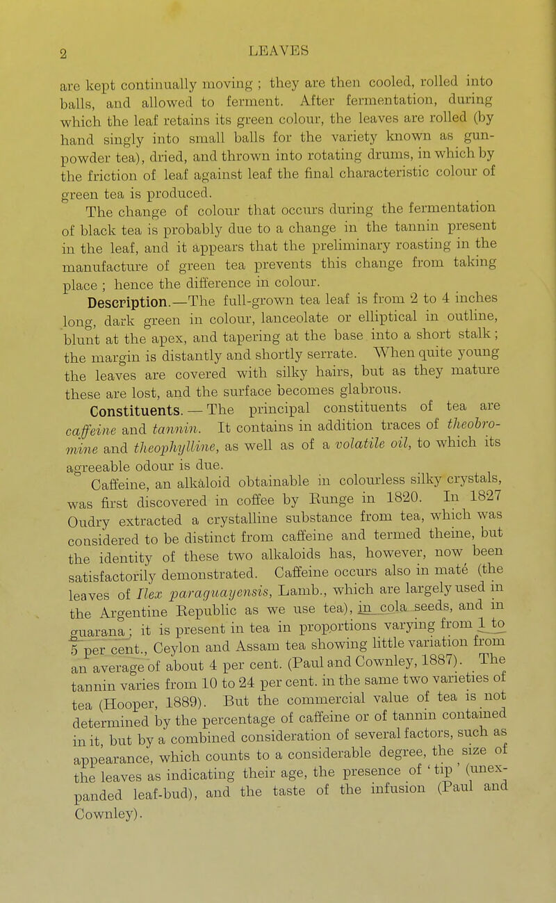 are kept continually moving ; they are then cooled, rolled into balls, and allowed to ferment. After fermentation, during which the leaf retains its green colour, the leaves are rolled (by hand singly into small balls for the variety known as gun- powder tea), dried, and thrown into rotating drums, in which by the friction of leaf against leaf the final characteristic colour of green tea is produced. The change of colour that occurs during the fermentation of black tea is probably due to a change in the tannin present in the leaf, and it appears that the preliminary roasting in the manufacture of green tea prevents this change from taking place ; hence the difference in colour. Description.—The full-grown tea leaf is from 2 to 4 inches long, dark green in colour, lanceolate or elliptical in outline, blunt at the apex, and tapering at the base into a short stalk ; the margin is distantly and shortly serrate. When quite young the leaves are covered with silky hairs, but as they mature these are lost, and the surface becomes glabrous. Constituents. — The principal constituents of tea are caffeine and tannin. It contains in addition traces of theobro- mine and theophylline, as well as of a volatile oil, to which its agreeable odour is due. Caffeine, an alkaloid obtainable in colourless silky crystals, was first discovered in coffee by Eunge in 1820. In 1827 Oudry extracted a crystalline substance from tea, which was considered to be distinct from caffeine and termed theine, but the identity of these two alkaloids has, however, now been satisfactorily demonstrated. Caffeine occurs also in mate (the leaves of Ilex paraguayensis, Lamb., which are largely used m the Argentine Eepublic as we use tea), in_cola seeds, and m guarana ; it is present in tea in proportions varying from l to 5 per cent., Ceylon and Assam tea showing little variation from an average'of about 4 per cent. (Paul and Cownley, 1887). _ The tannin varies from 10 to 24 per cent, in the same two varieties of tea (Hooper, 1889). But the commercial value of tea is not determined by the percentage of caffeine or of tannin contained in it but by a combined consideration of several factors, such as appearance, which counts to a considerable degree, the size of the leaves as indicating their age, the presence of ' tip ' (unex- panded leaf-bud), and the taste of the infusion (Paul and Cownley).