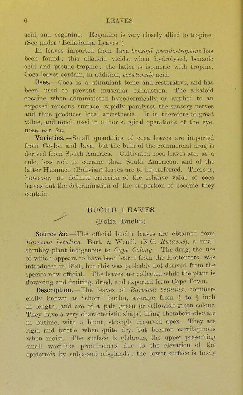 LKAVKS acid, and ecgonine. Ecgonine is very closely allied to tropine. (See under 'Belladonna Leaves.') In leaves imported from Java benzoyl pseudo-trqpeine has been found ; this alkaloid yields, when hydrolysed, benzoic acid and pseudo-tropine; the latter is isomeric with tropine. Coca leaves contain, in addition, cocatannic acid. Uses.—Coca is a stimulant tonic and restorative, and has been used to prevent muscular exhaustion. The alkaloid cocaine, when administered hypodermically, or applied to an exposed mucous surface, rapidly paralyses the sensory nerves and thus produces local anaesthesia. It is therefore of great value, and much used in minor surgical operations of the eye, nose, ear, &c. Varieties.—Small quantities of coca leaves are imported from Ceylon and Java, but the bulk of the commercial drug is derived from South America. Cultivated coca leaves rule, less rich in cocaine than South American, and of the latter Huanuco (Bolivian) leaves are to be preferred. There is, however, no definite criterion of the relative value of coca leaves but the determination of the proportion of cocaine they contain. BUCHU LEAVES (Folia Bucliu) Source &C.—The official buchu leaves are obtained from Barosma betulina, Bart. & Wendl. (N.O. Butacecc), a small shrubby plant indigenous to Cape Colony. The drug, the use of which appears to have been learnt from the Hottentots, was introduced in 1821, but this was probably not derived from the species now official. The leaves are collected while the plant is flowering and fruiting, dried, and exported from Cape Town. Description.—The leaves of Barosma betulina, commer- cially known as ' short' buchu, average from £ to f inch in length, .and are of a pale green or yellowish-green colour. They have a very characteristic shape, being rhomboid-obovate in outline, with a blunt, strongly recurved apex. They are rigid and brittle when quite dry, but become cartilaginous when moist. The surface is glabrous, the upper presenting small wart-like prominences due to the elevation of the epidermis by subjacent oil-glands ; the lower surface is finely