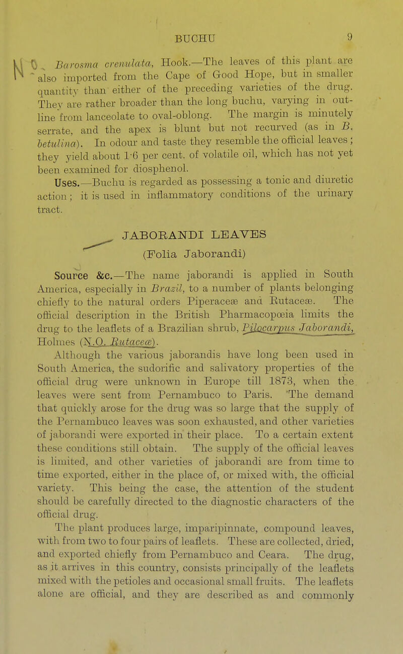 Euros,na crenulata, Hook.—The leaves of this plant are also imported from the Cape of Good Hope, but in smaller quantity than either of the preceding varieties of the drug. They are rather broader than the long buchu, varying in out- line 'from lanceolate to oval-oblong. The margin is minutely serrate, and the apex is blunt but not recurved (as in B. betulina). In odour and taste they resemble the official leaves ; they yield about 1-6 per cent, of volatile oil, which has not yet been examined for diosphenol. Uses.—Buchu is regarded as possessing a tonic and diuretic action; it is used in inflammatory conditions of the urinary tract. JAB O RAND I LEAVES (Folia Jaborandi) Source &c.—The name jaborandi is applied in South America, especially in Brazil, to a number of plants belonging chiefly to the natural orders Piperaceae and Rutaceae. The official description in the British Pharmacopoeia limits the drug to the leaflets of a Brazilian shrub, Pilocarpus Jaborandi^ Holmes (N.O^ ifcitacece). Although the various jaborandis have long been used in South America, the sudorific and salivatory properties of the official drug were unknown in Europe till 1873, when the leaviis were sent from Pernambuco to Paris. The demand that quickly arose for the drug was so large that the supply of the Pernambuco leaves was soon exhausted, and other varieties of jaborandi were exported in their place. To a certain extent these conditions still obtain. The supply of the official leaves is limited, and other varieties of jaborandi are from time to time exported, either in the place of, or mixed with, the official variety. This being the case, the attention of the student should be carefully directed to the diagnostic characters of the official drug. The plant produces large, imparipinnate, compound leaves, wit] i from two to four pairs of leaflets. These are collected, dried, and exported chiefly from Pernambuco and Ceara. The drug, as it in rives in this country, consists principally of the leaflets mixed with the petioles and occasional small fruits. The leaflets alone are official, and they are described as and commonly